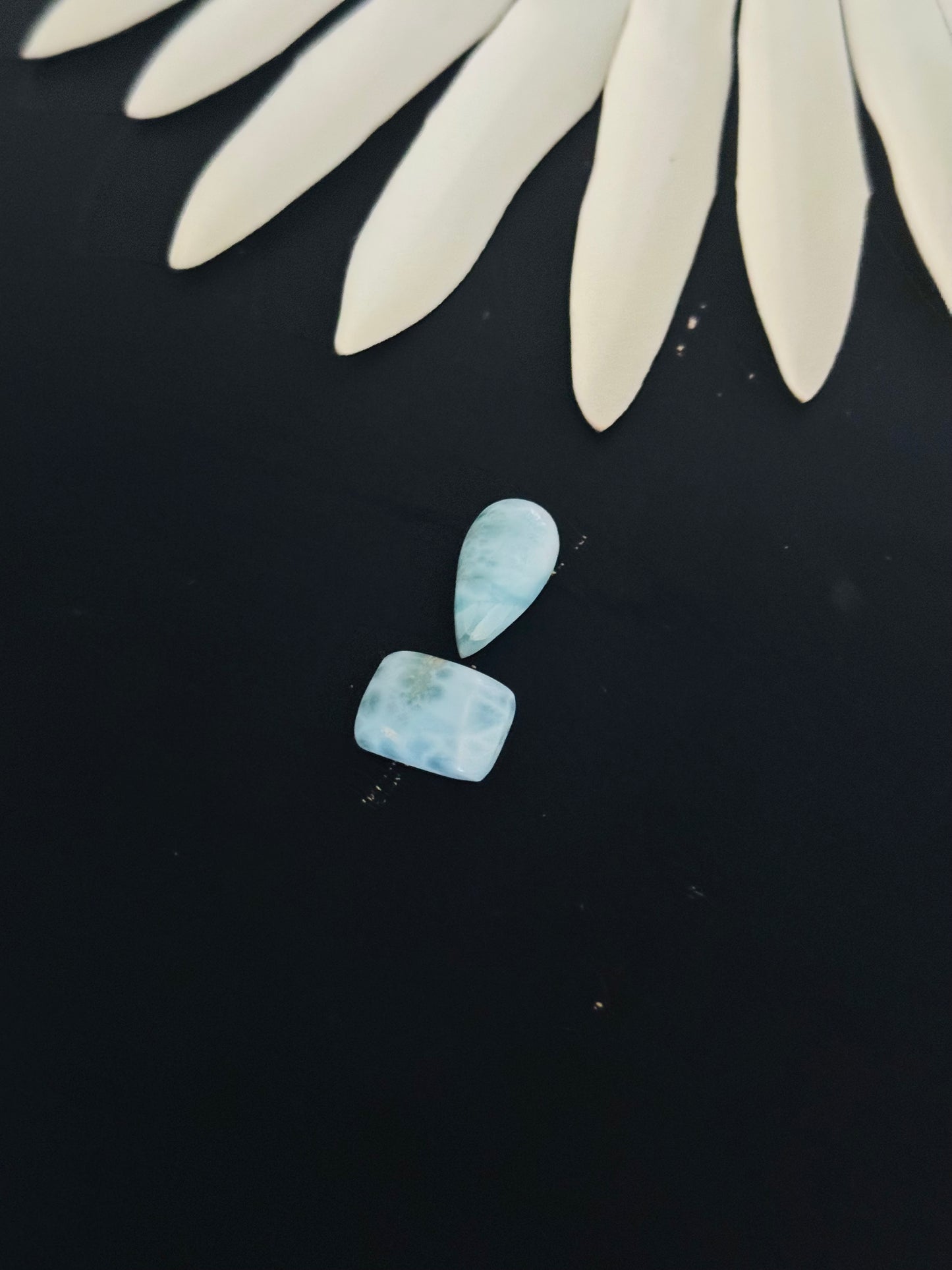 Larimar Cabs