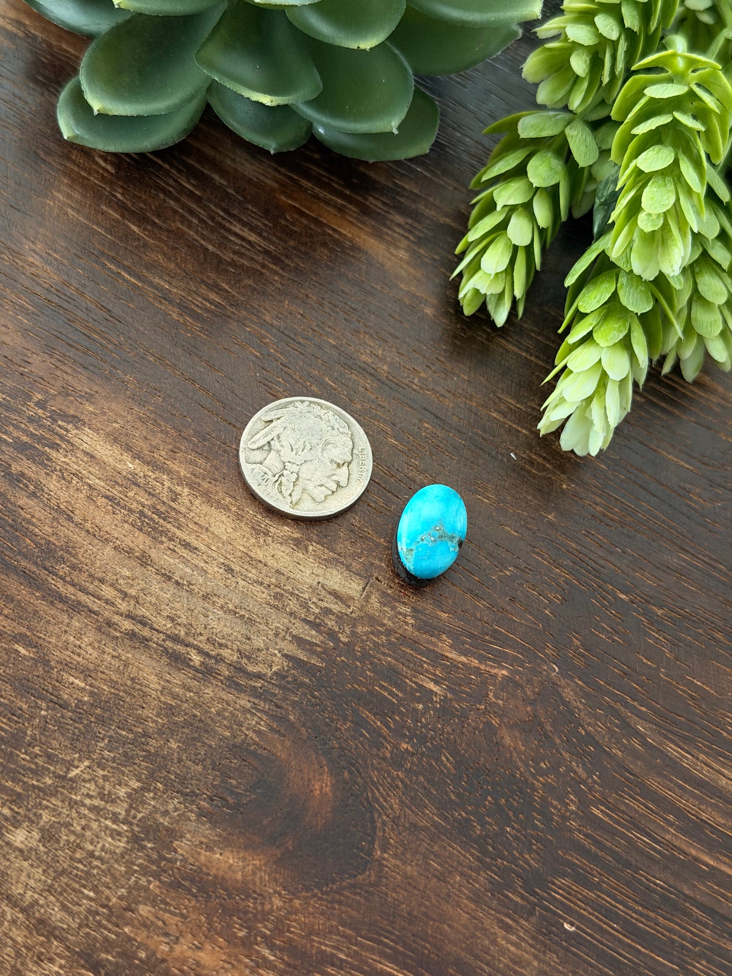 Blue Bird Turquoise Cab