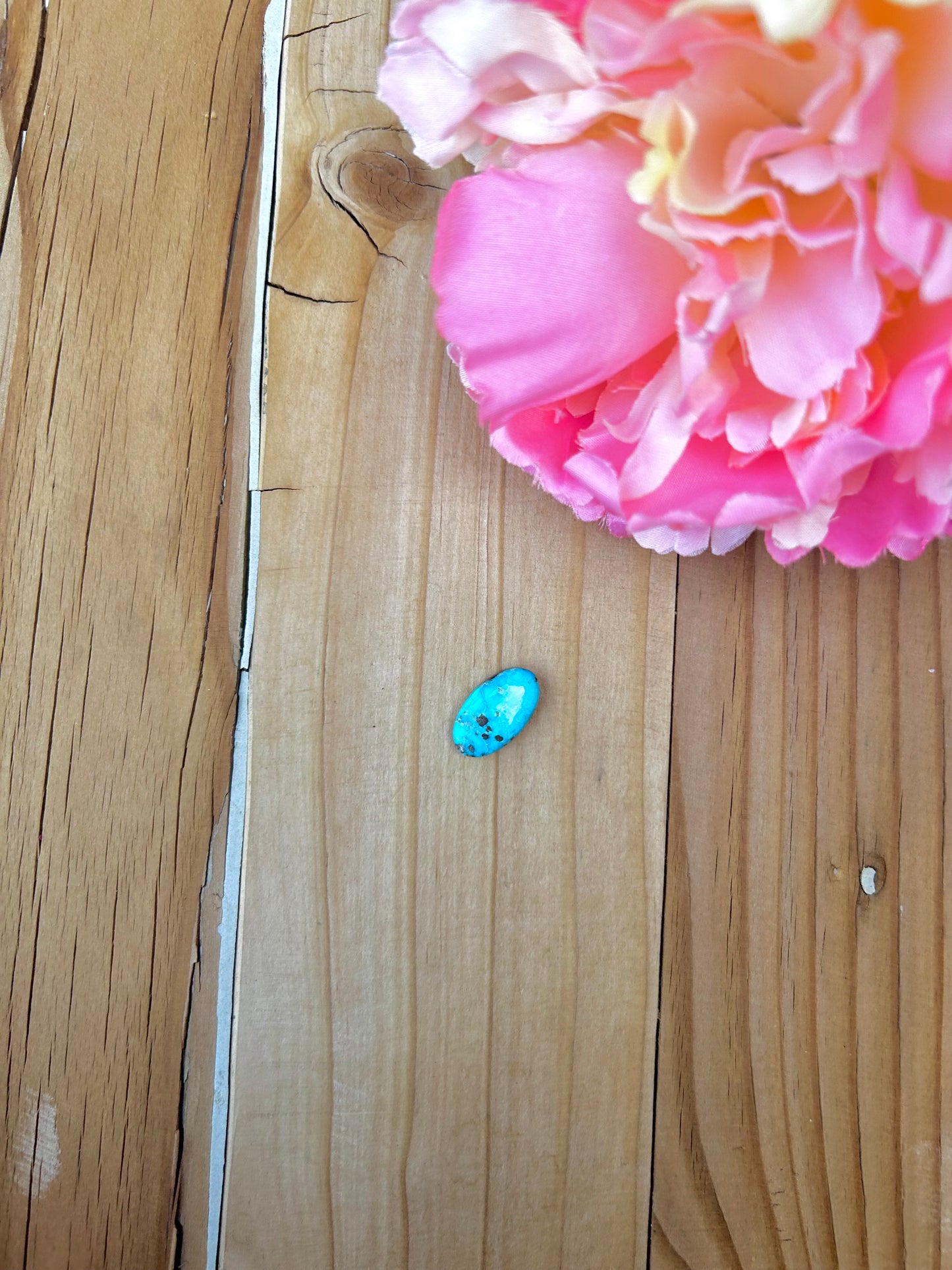 Blue Bird Turquoise Cabs