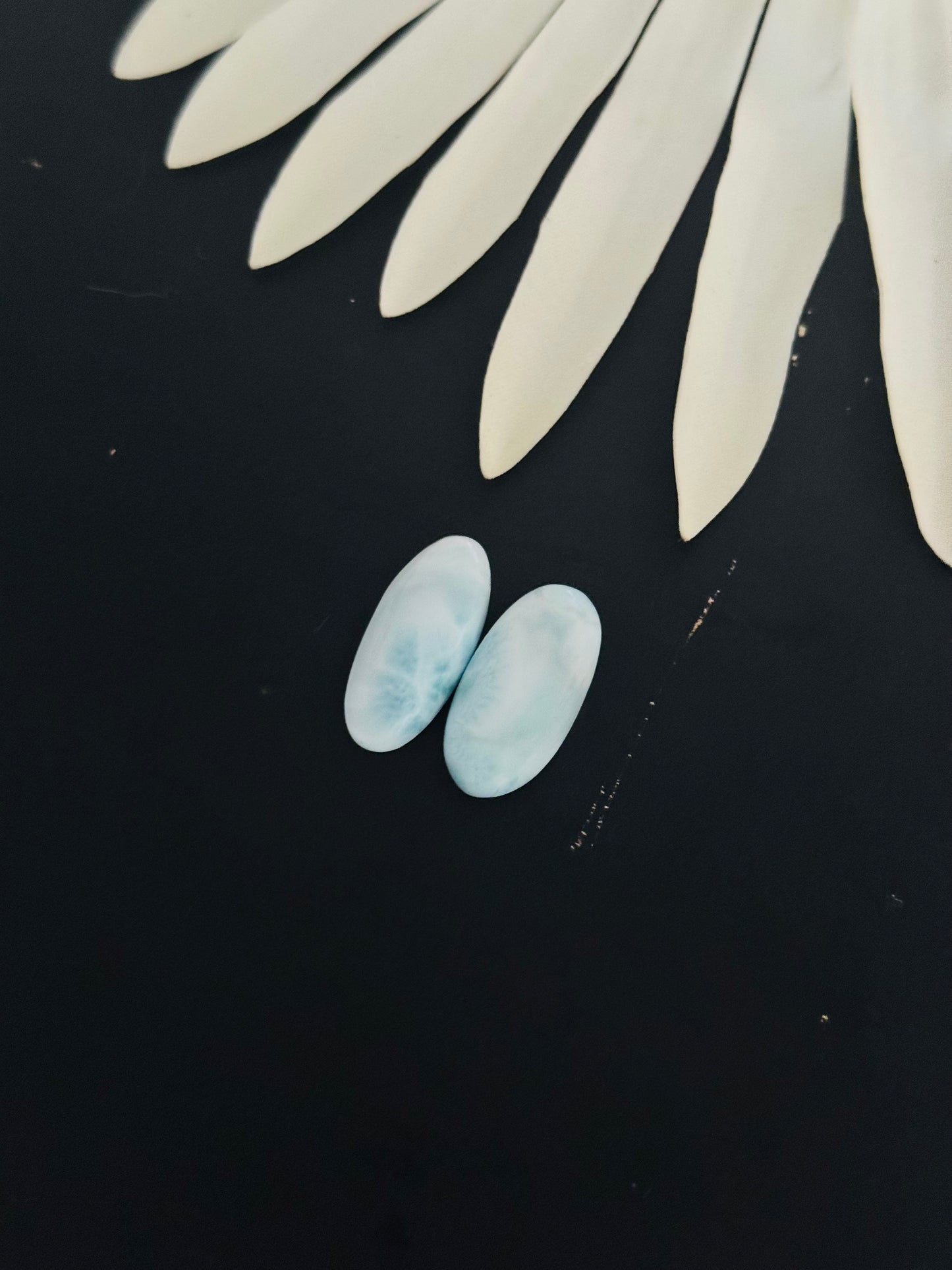 Larimar Cabs