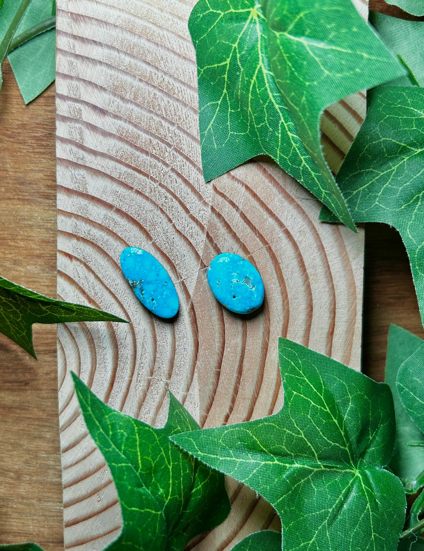 Blue Bird Turquoise Cabs