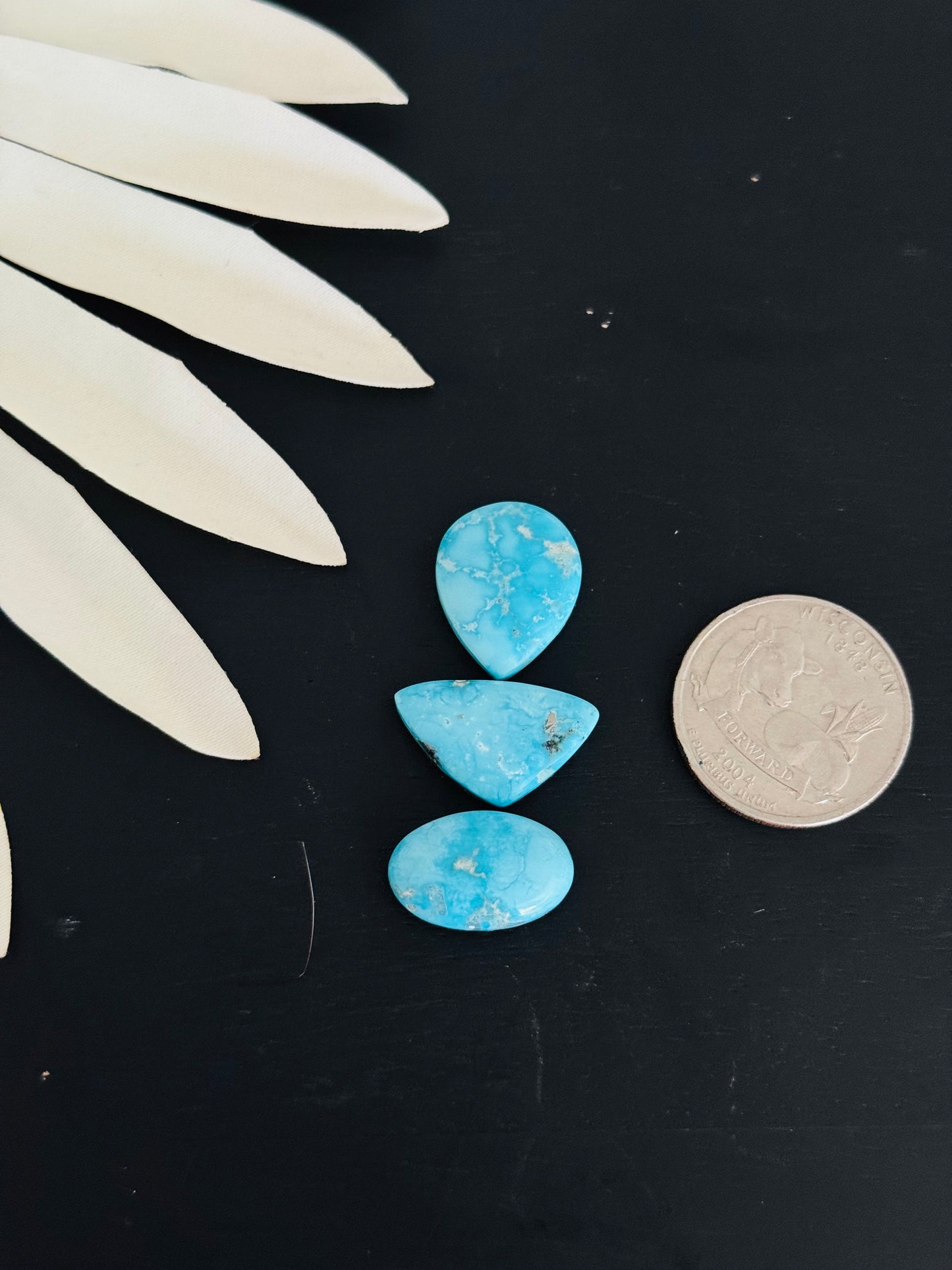 Blue Bird Turquoise Cabs