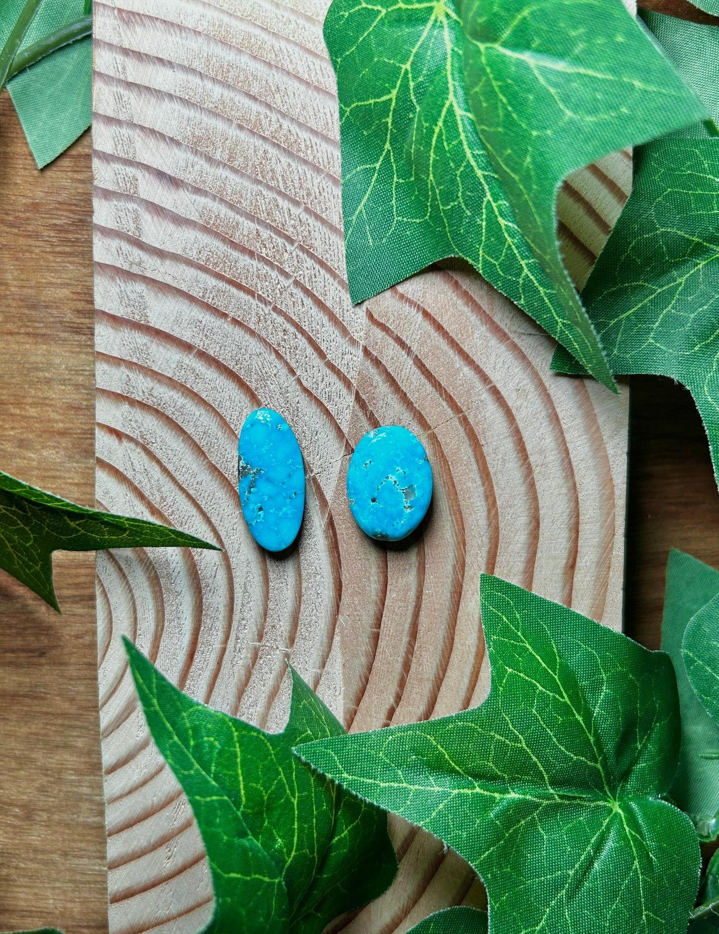 Blue Bird Turquoise Cabs