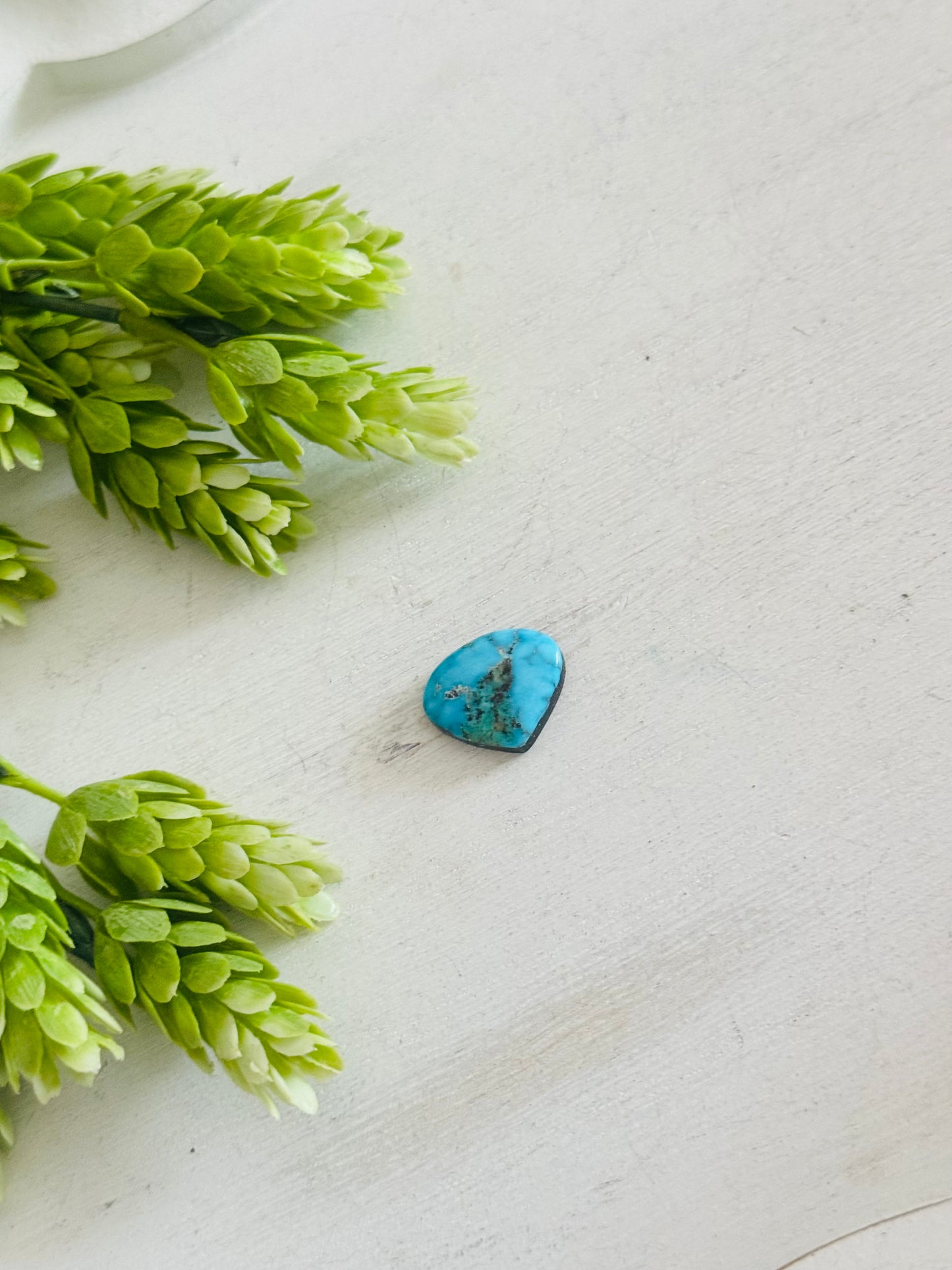 Blue Bird Turquoise Cab