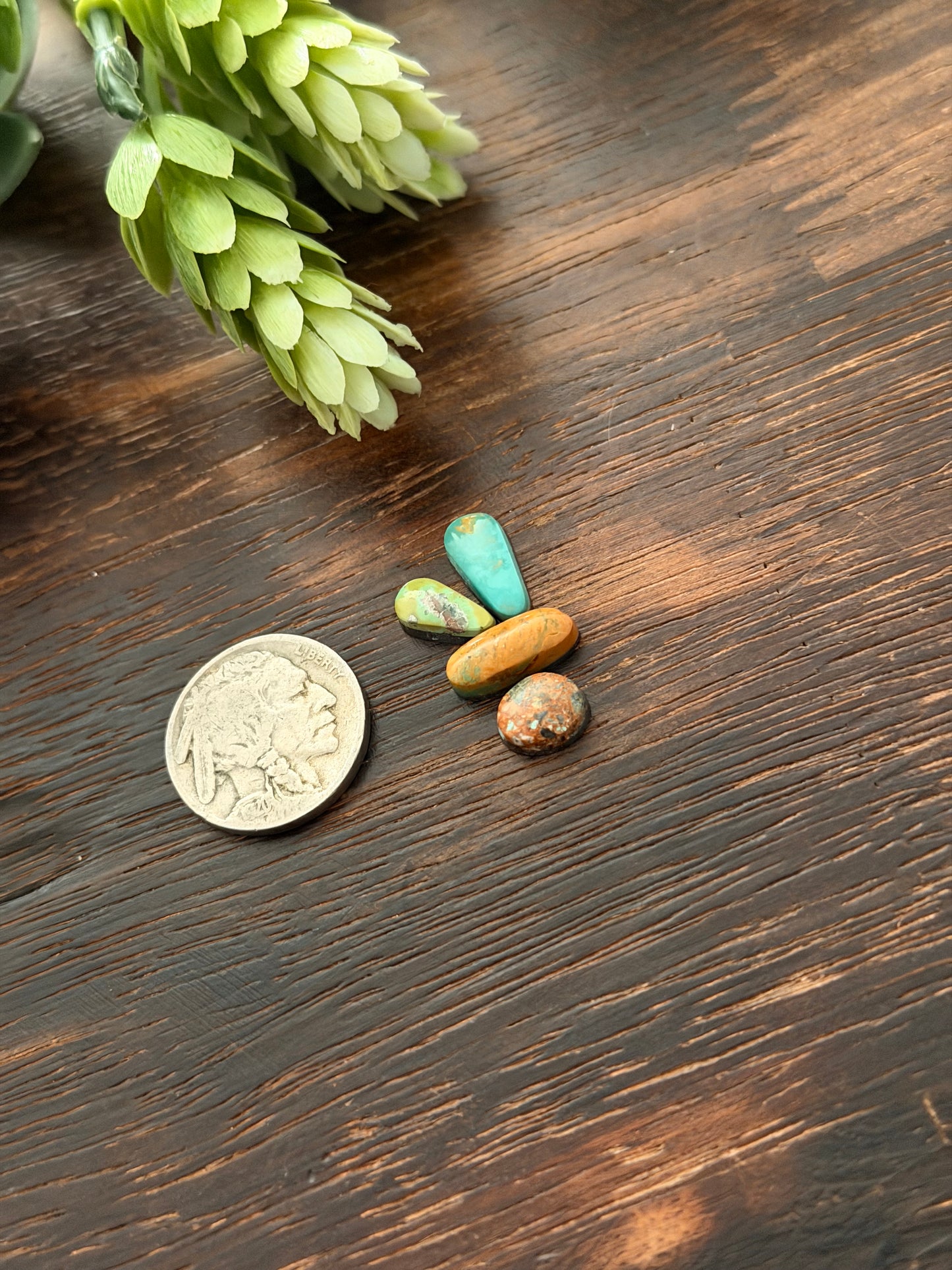 Evans Turquoise Cabs