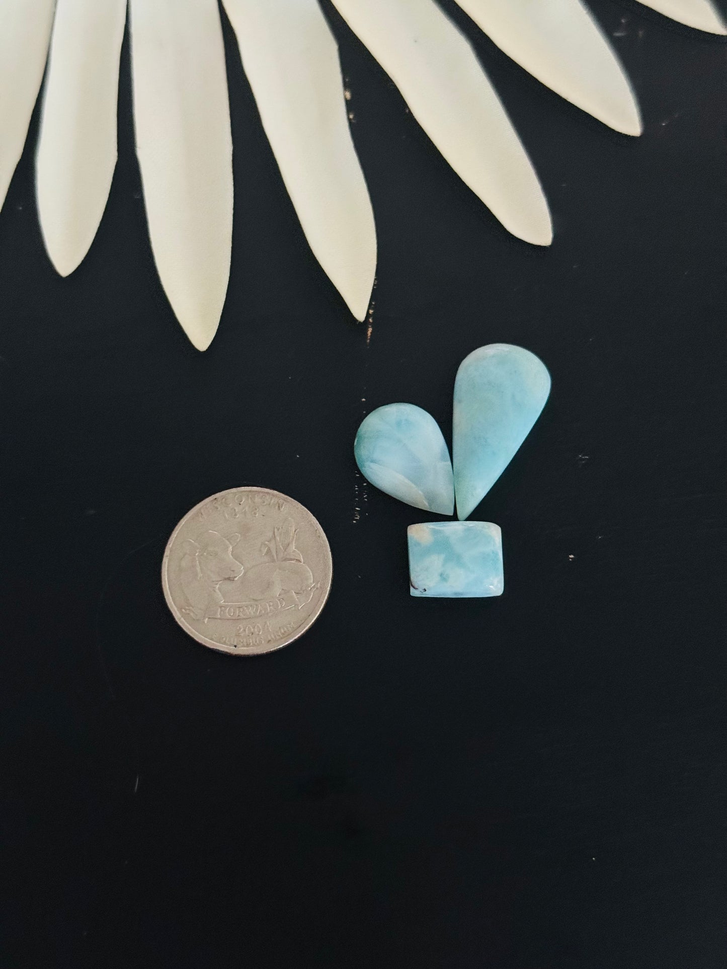 Larimar Cabs
