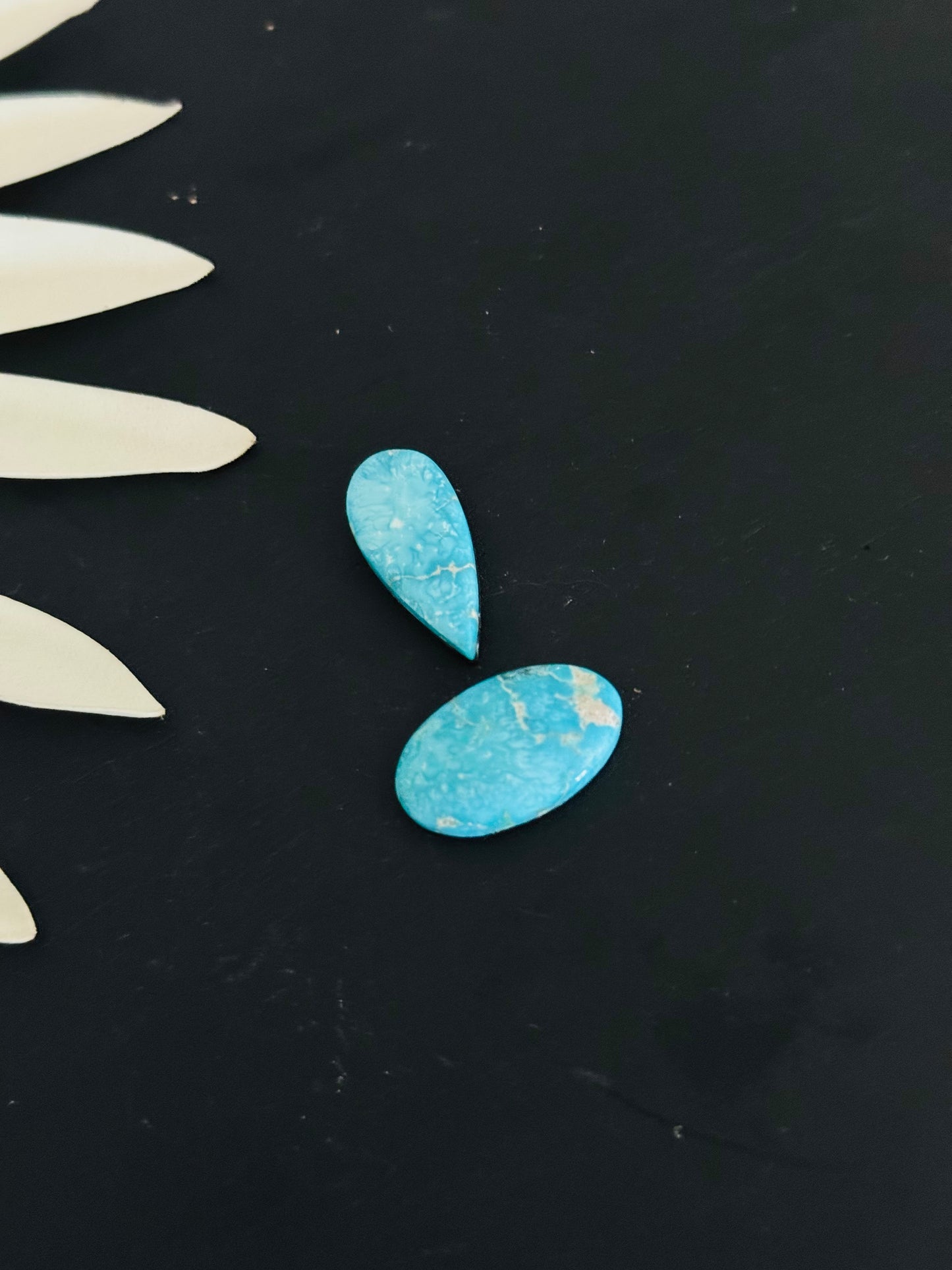 Blue Bird Turquoise Cabs