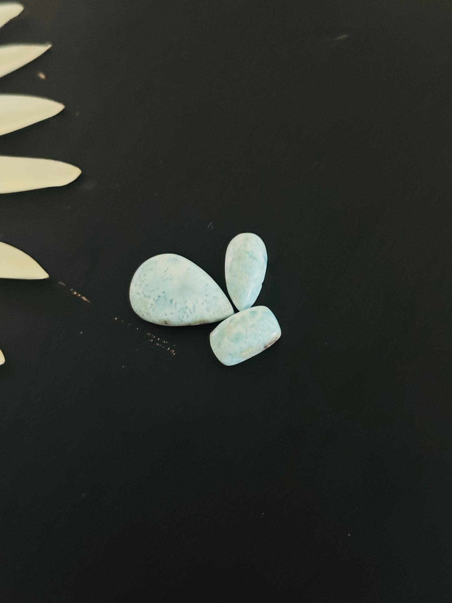 Larimar Cabs