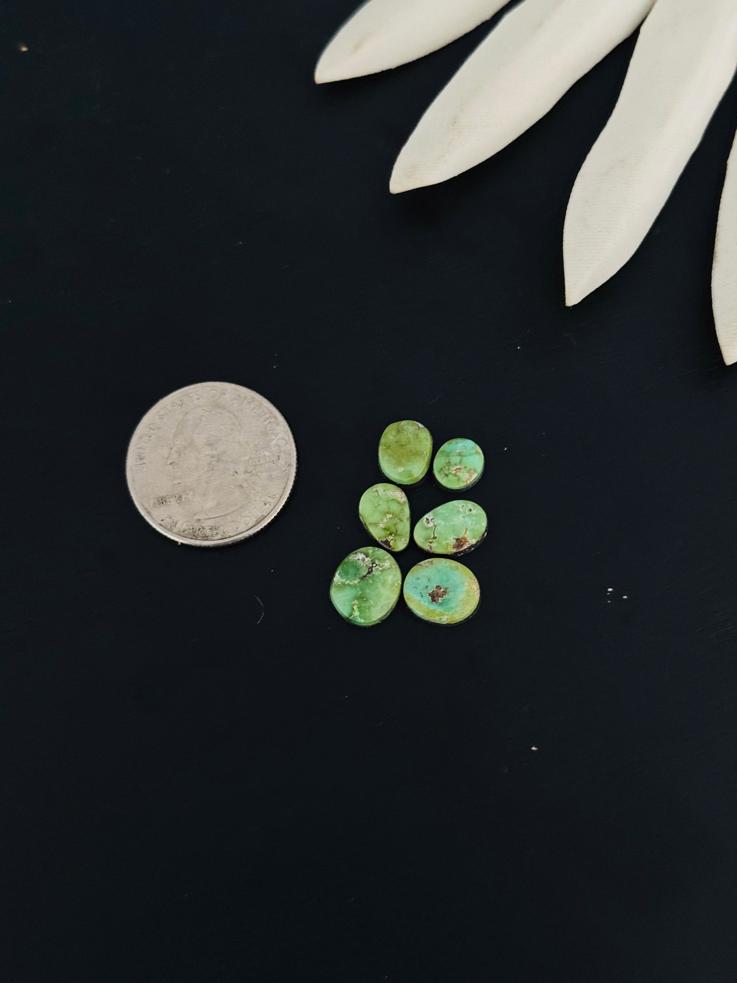 Natural Sonoran Gold Turquoise Cabs