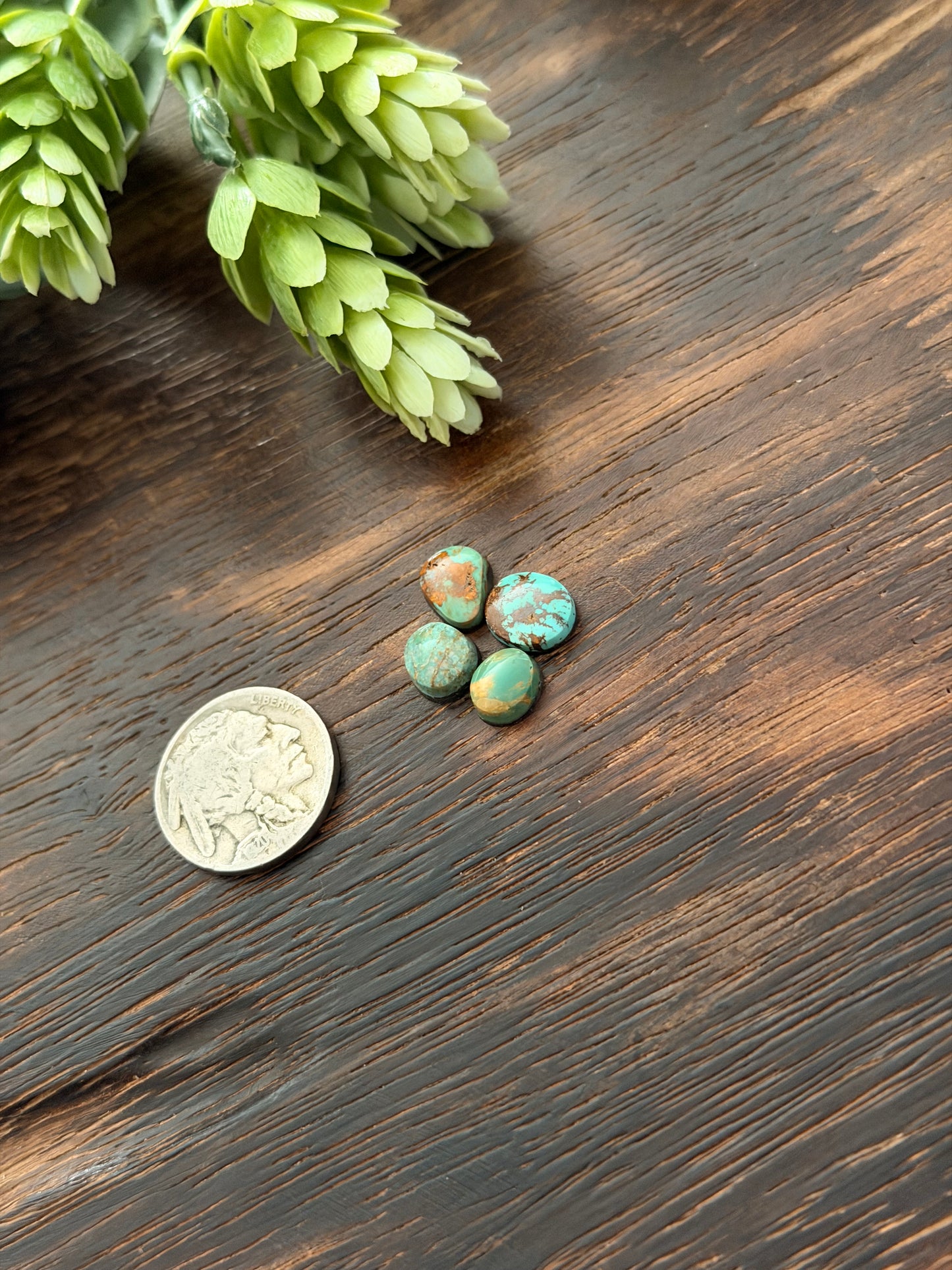 Evans Turquoise Cabs