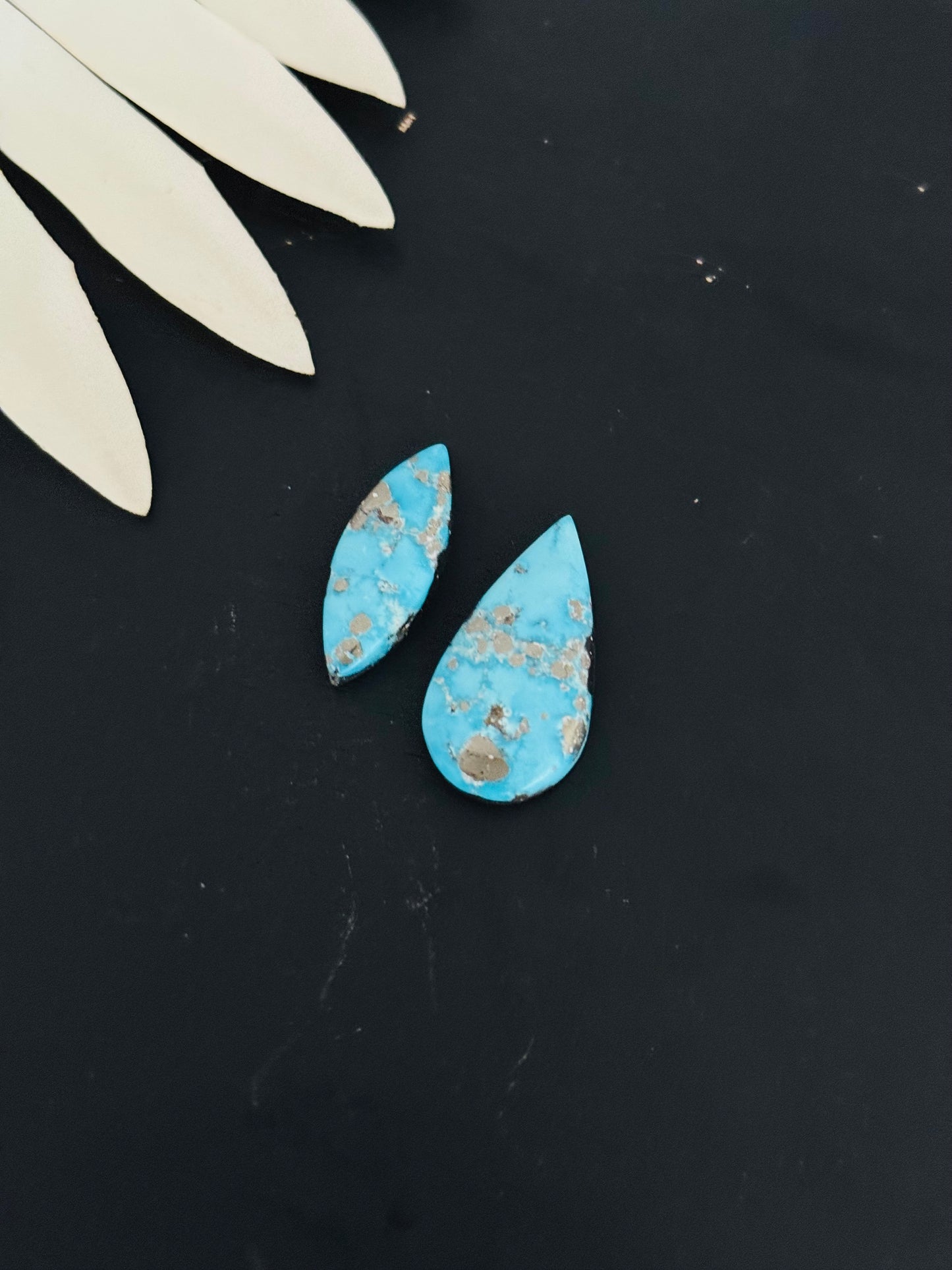 Blue Bird Turquoise Cabs