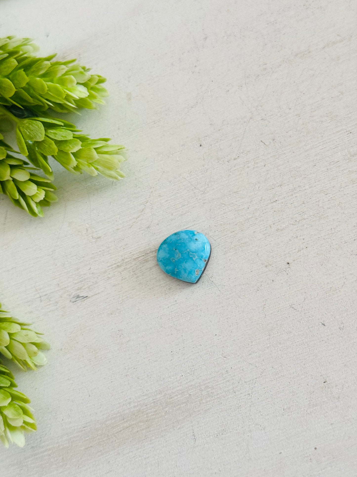 Blue Bird Turquoise Cab