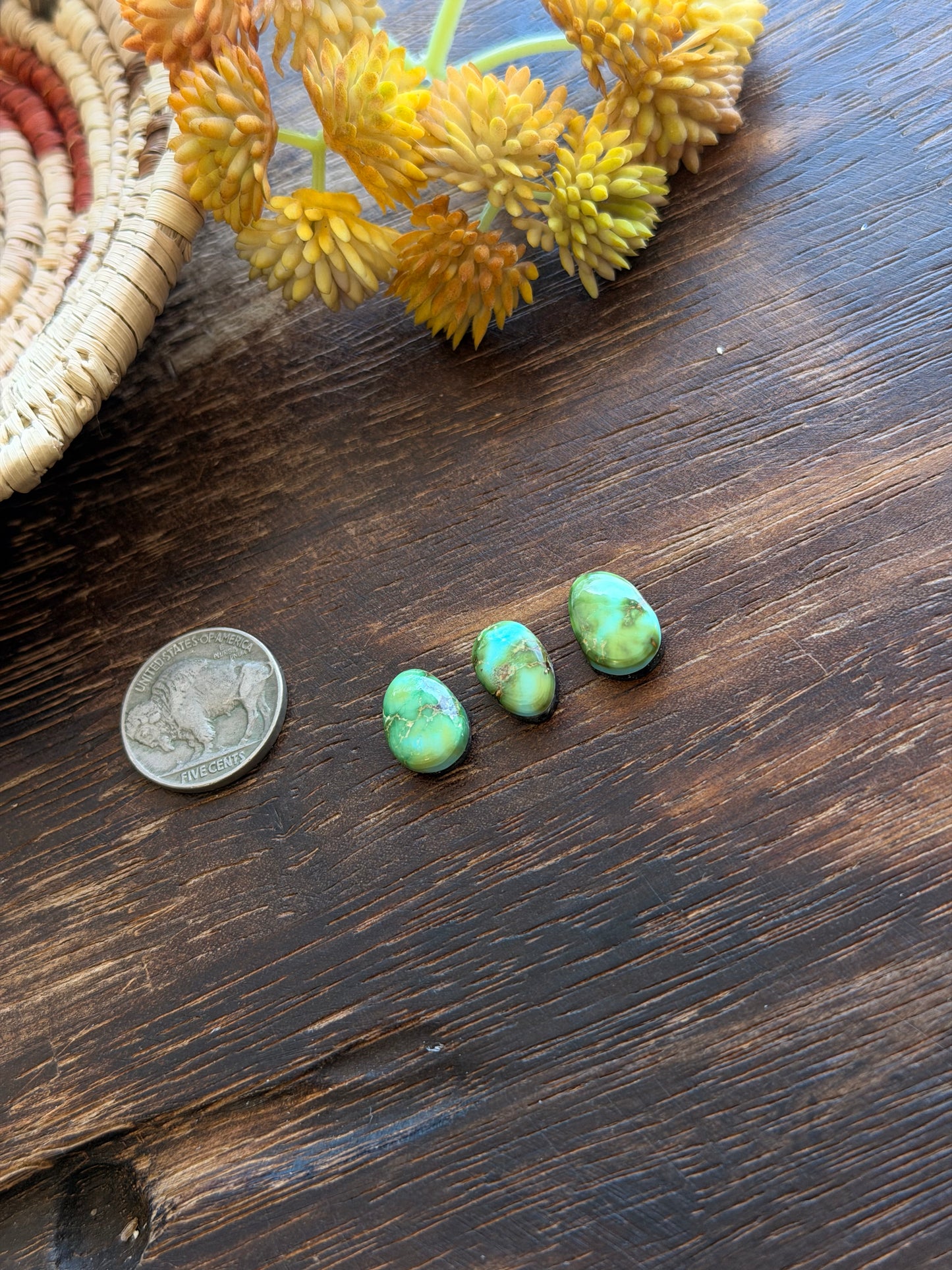 Sonoran Mountain Turquoise Cabs