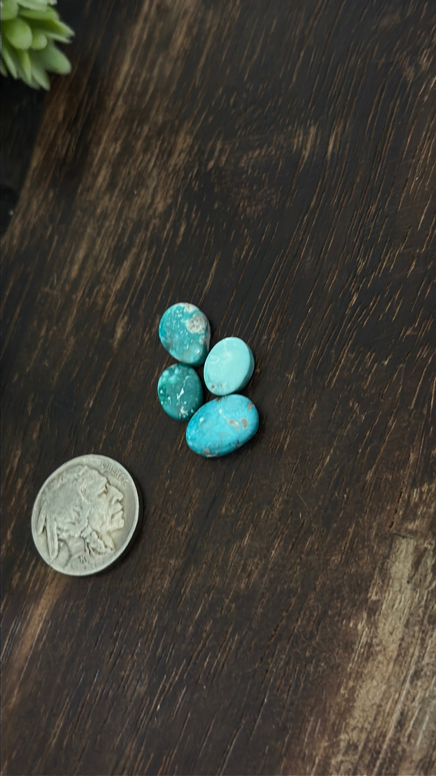 White Water Turquoise Cabs