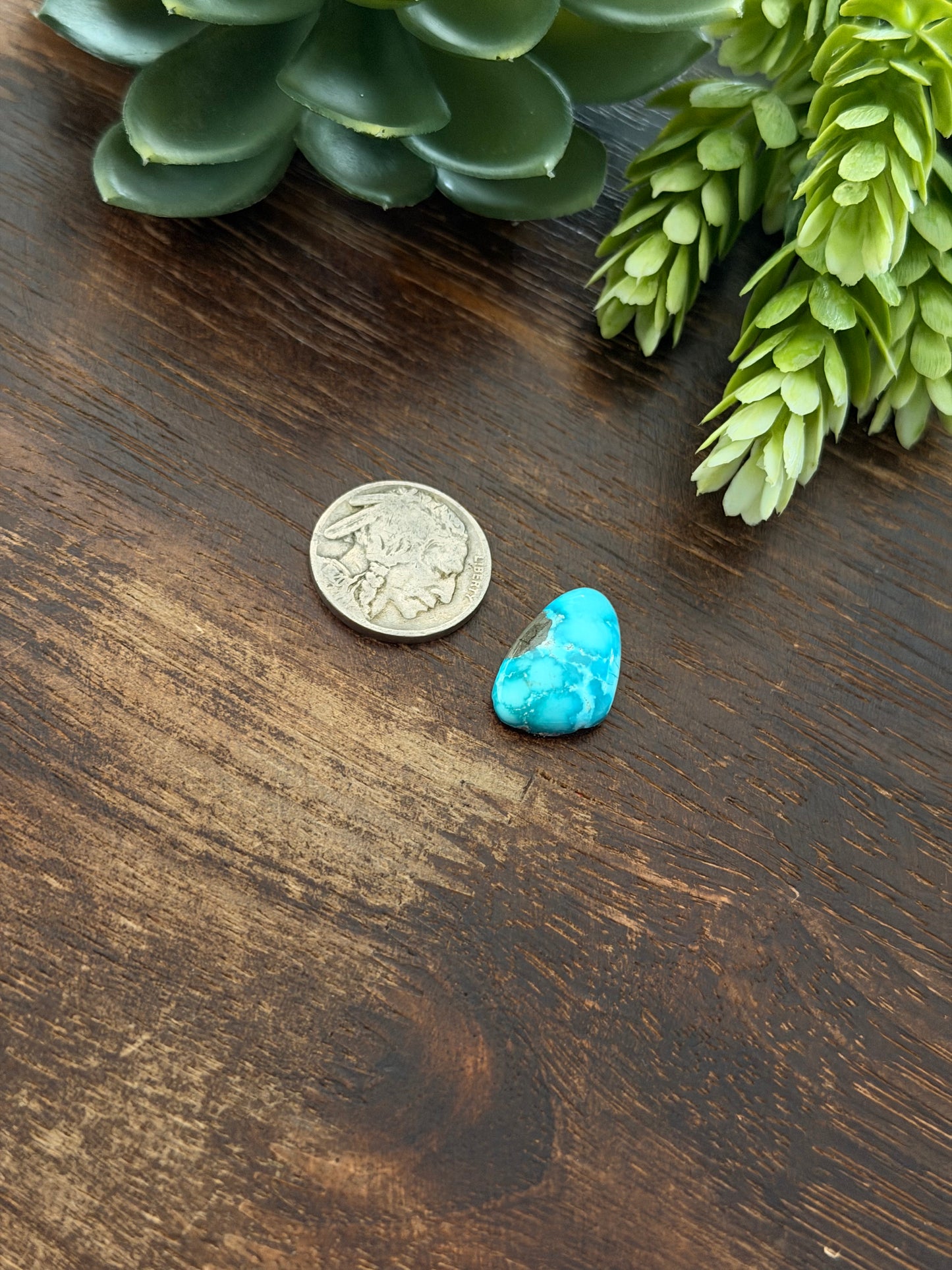 Blue Bird Turquoise Cab