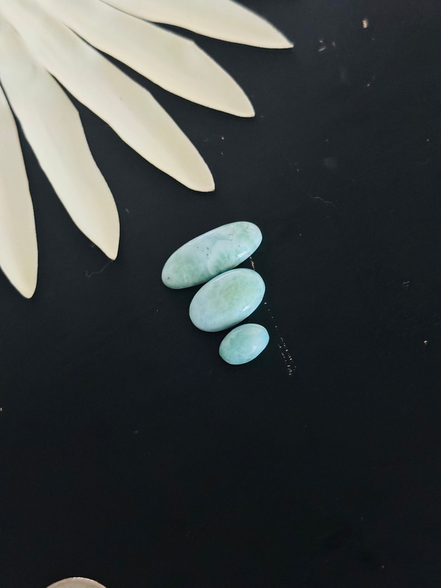 Larimar Cabs
