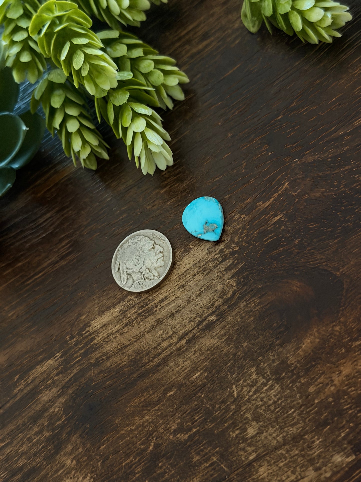 Blue Bird Turquoise Cab