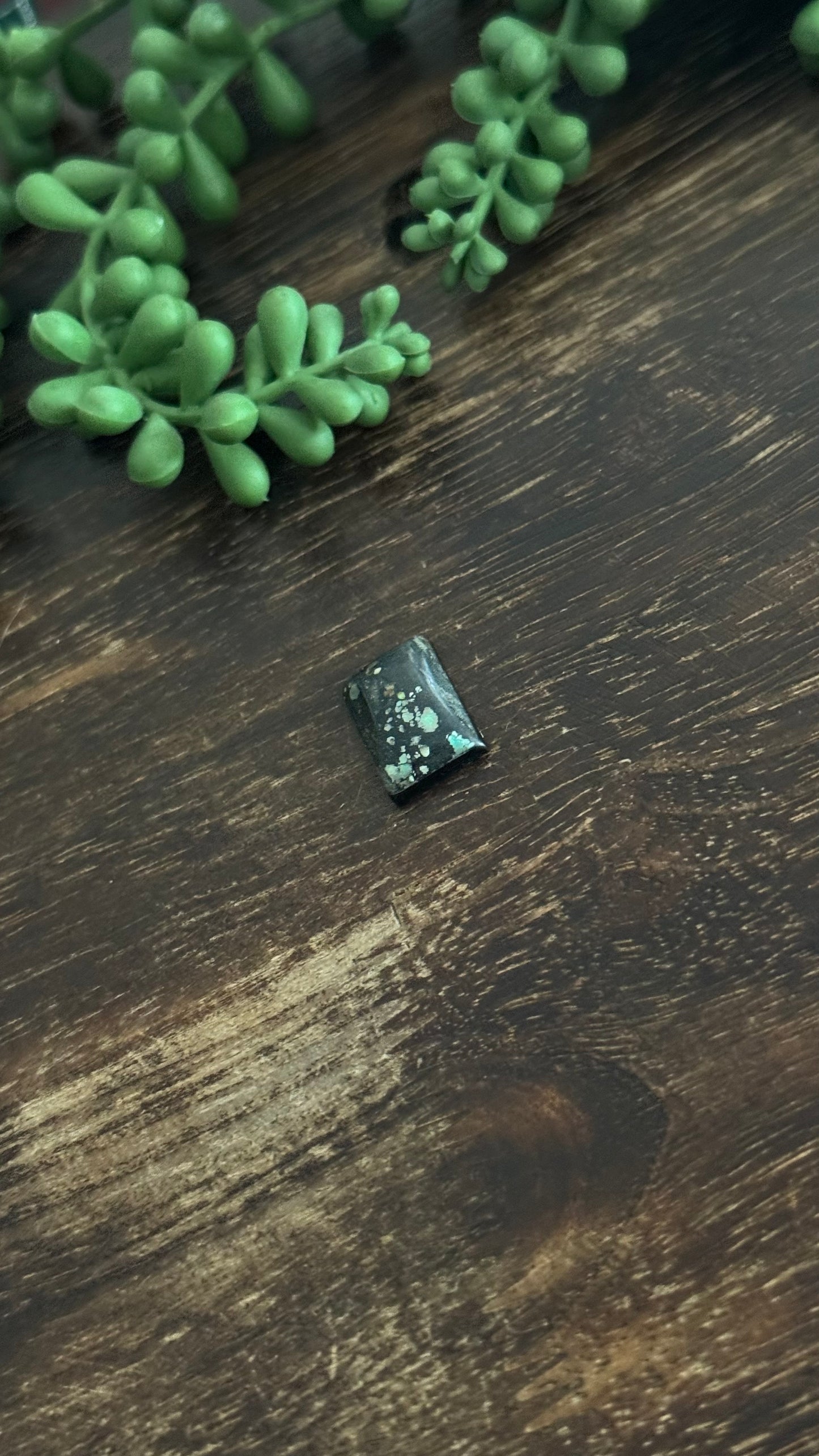 Black Jack Turquoise Cab