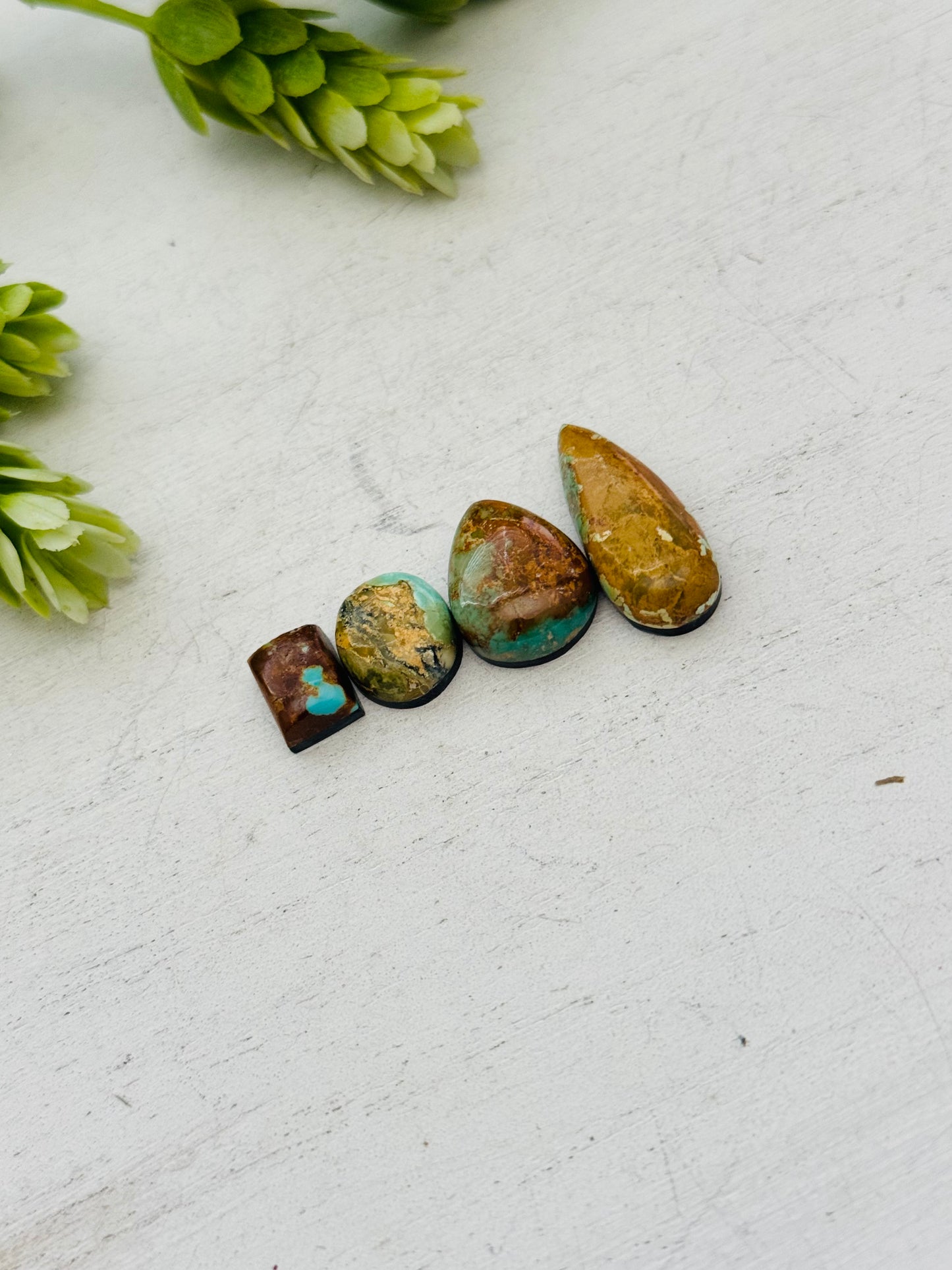Evans Turquoise Cabs