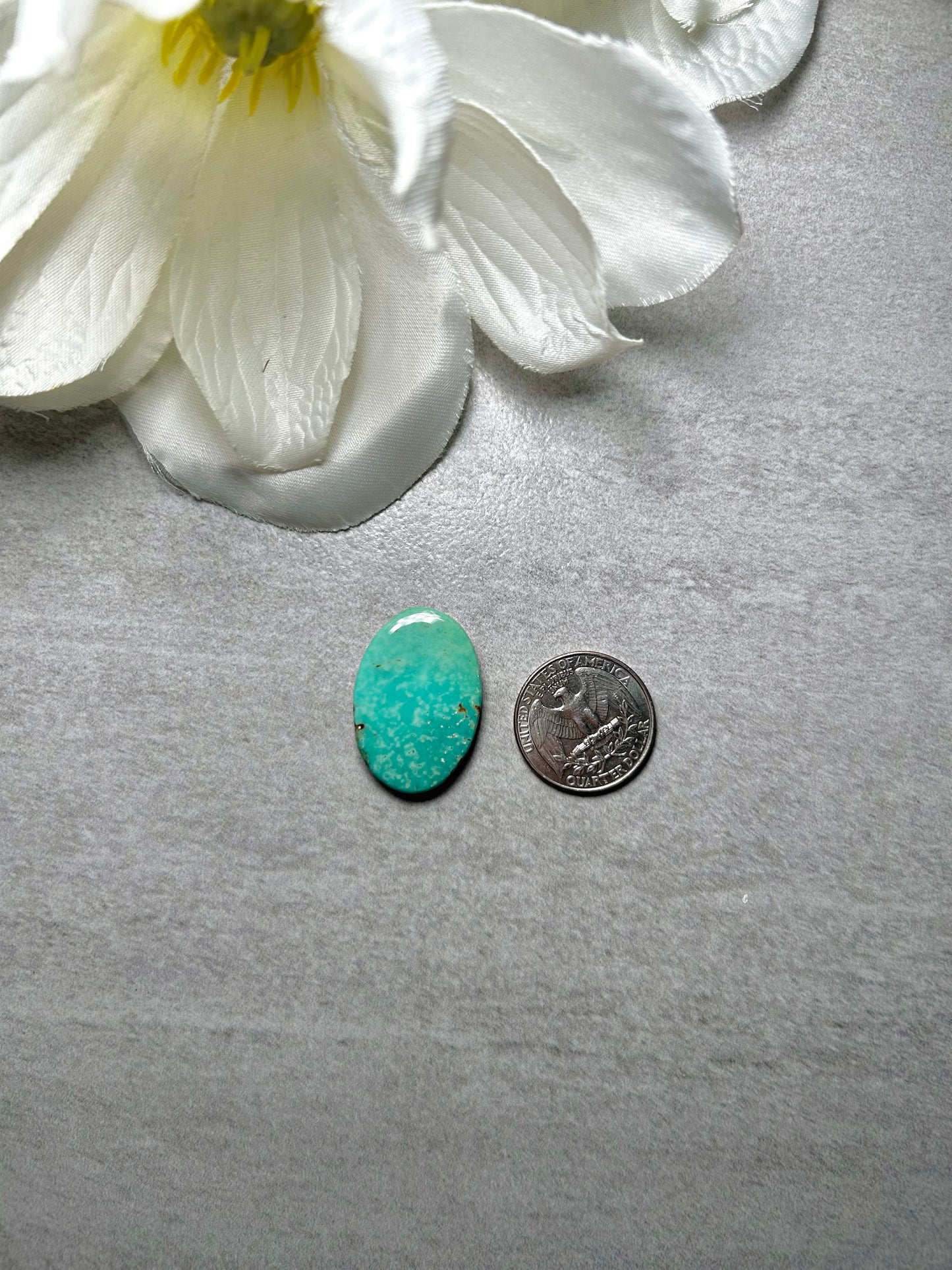 Kingman Turquoise Cab