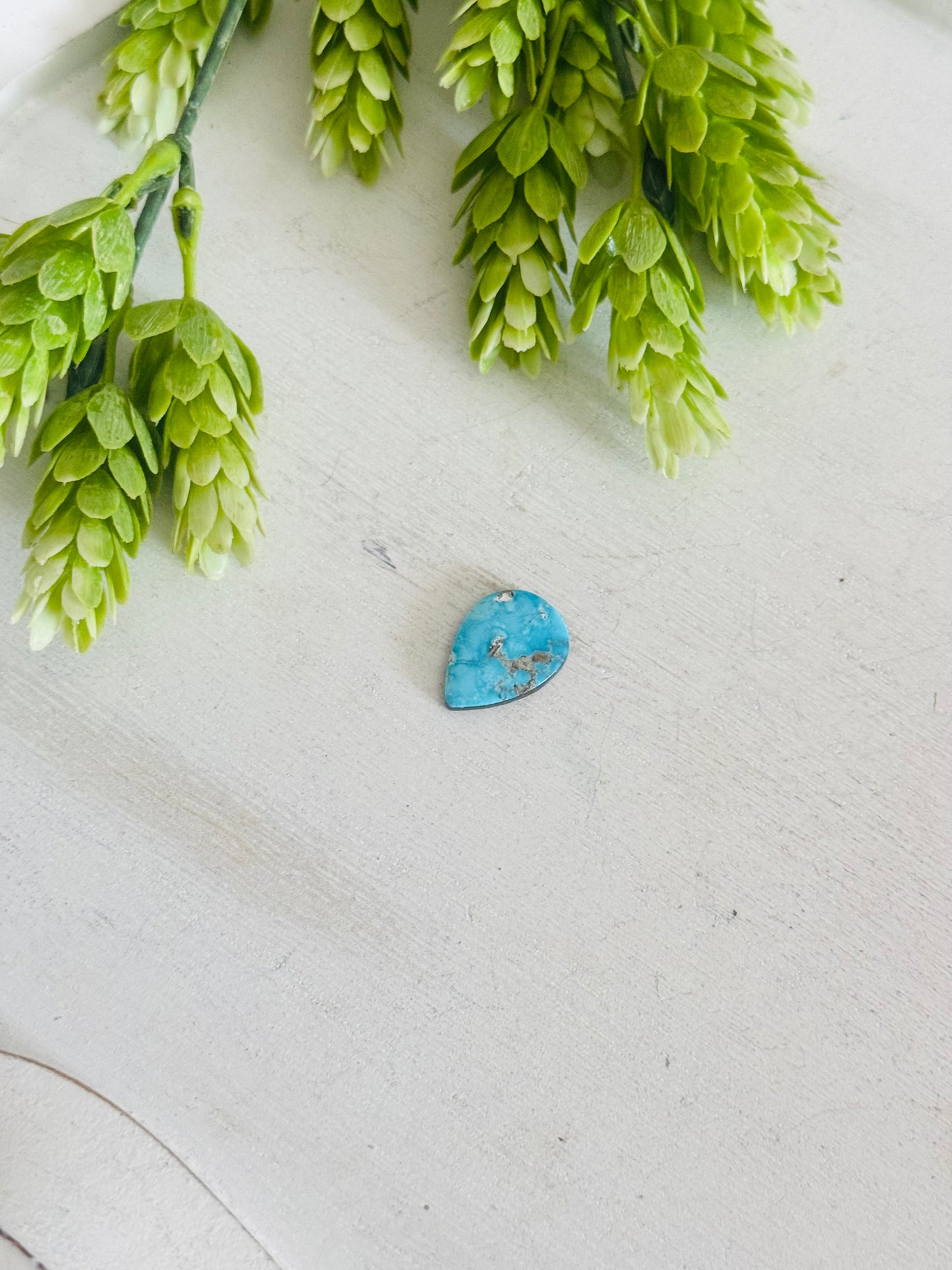 Blue Bird Turquoise Cab