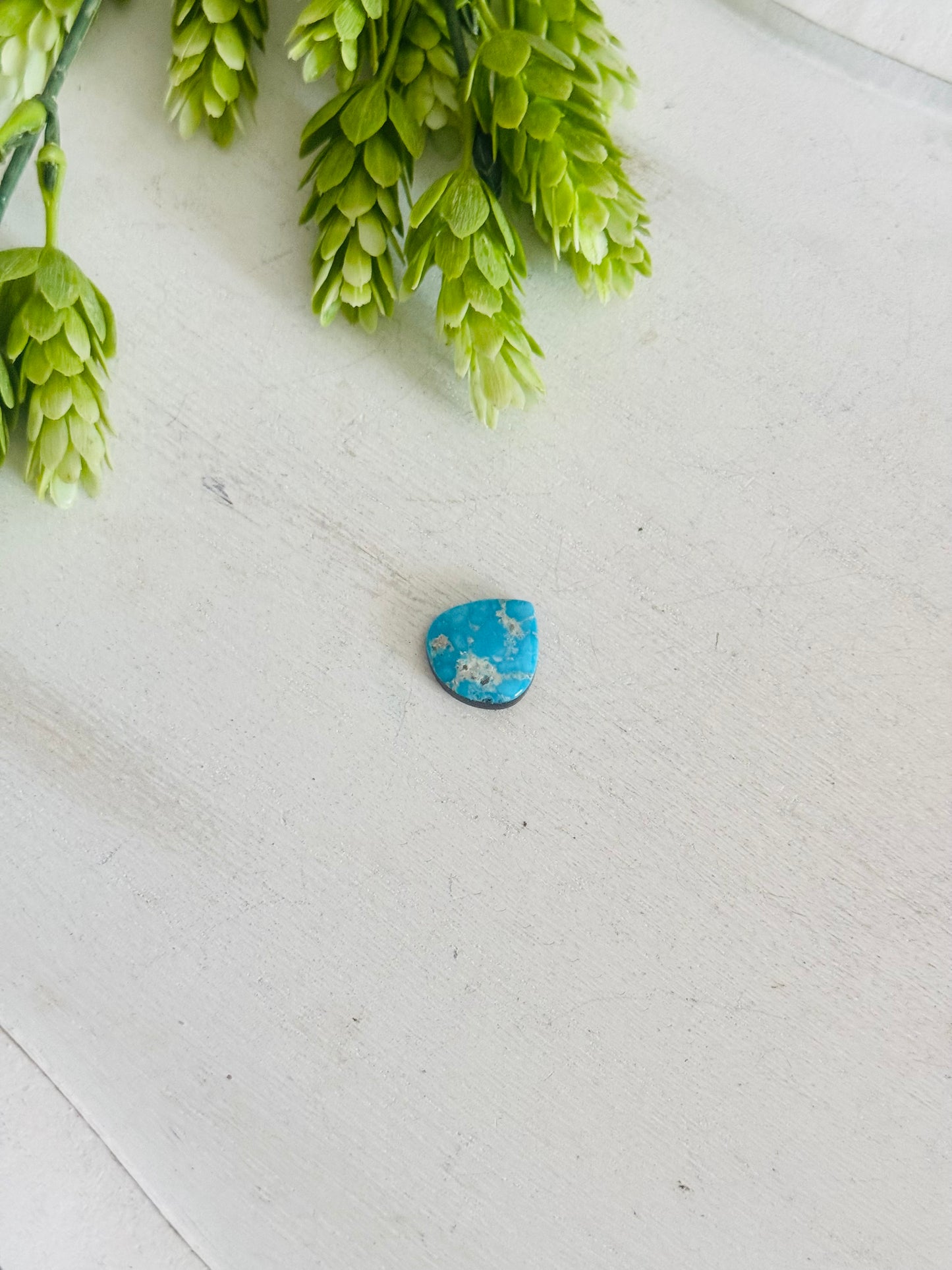 Blue Bird Turquoise Cab