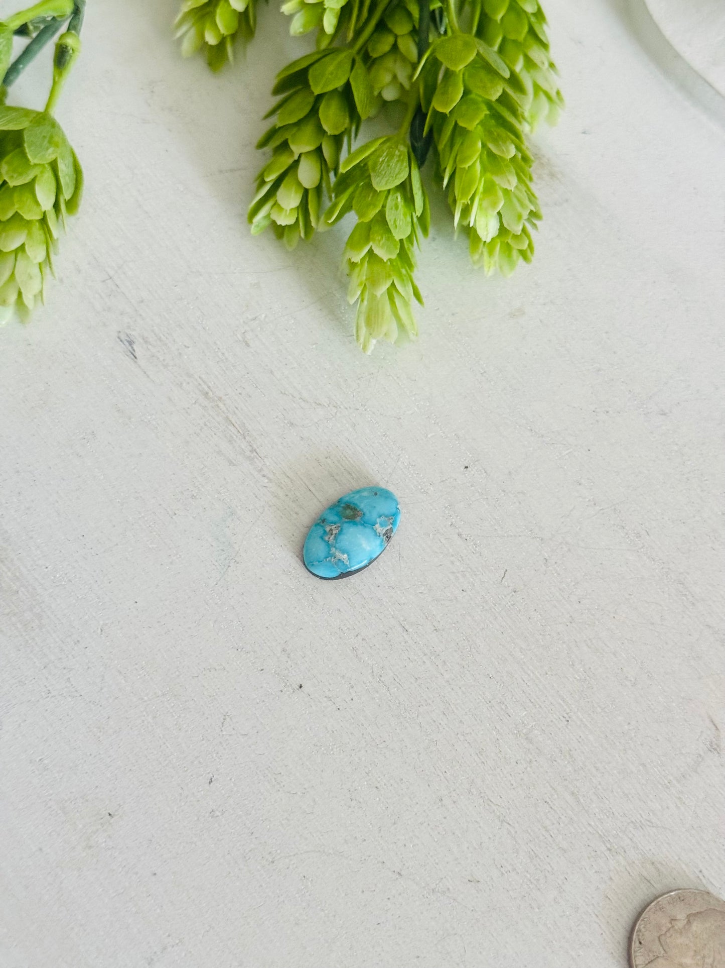 Blue Bird Turquoise Cab