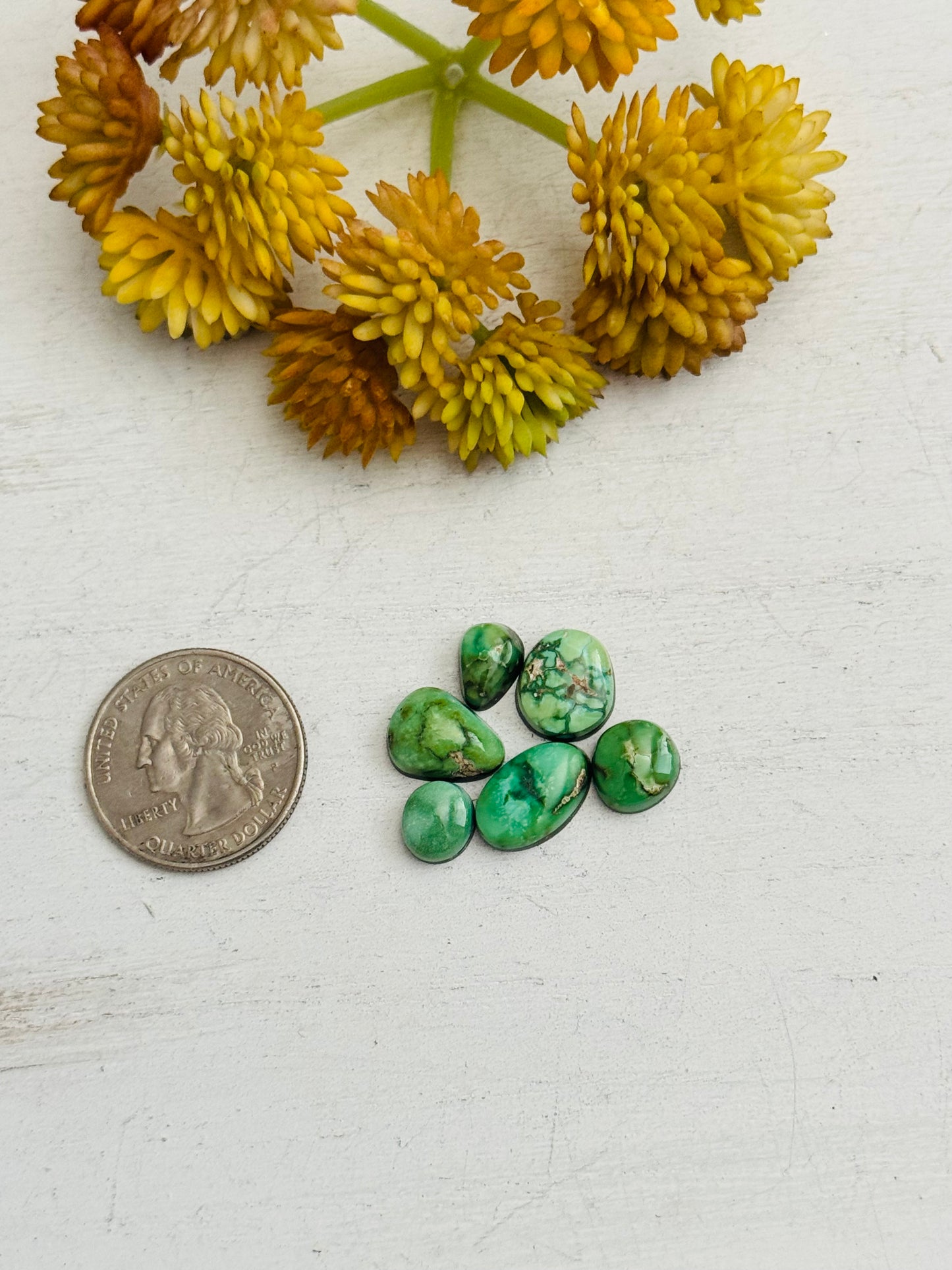 Natural Sonoran Gold Turquoise Cabs