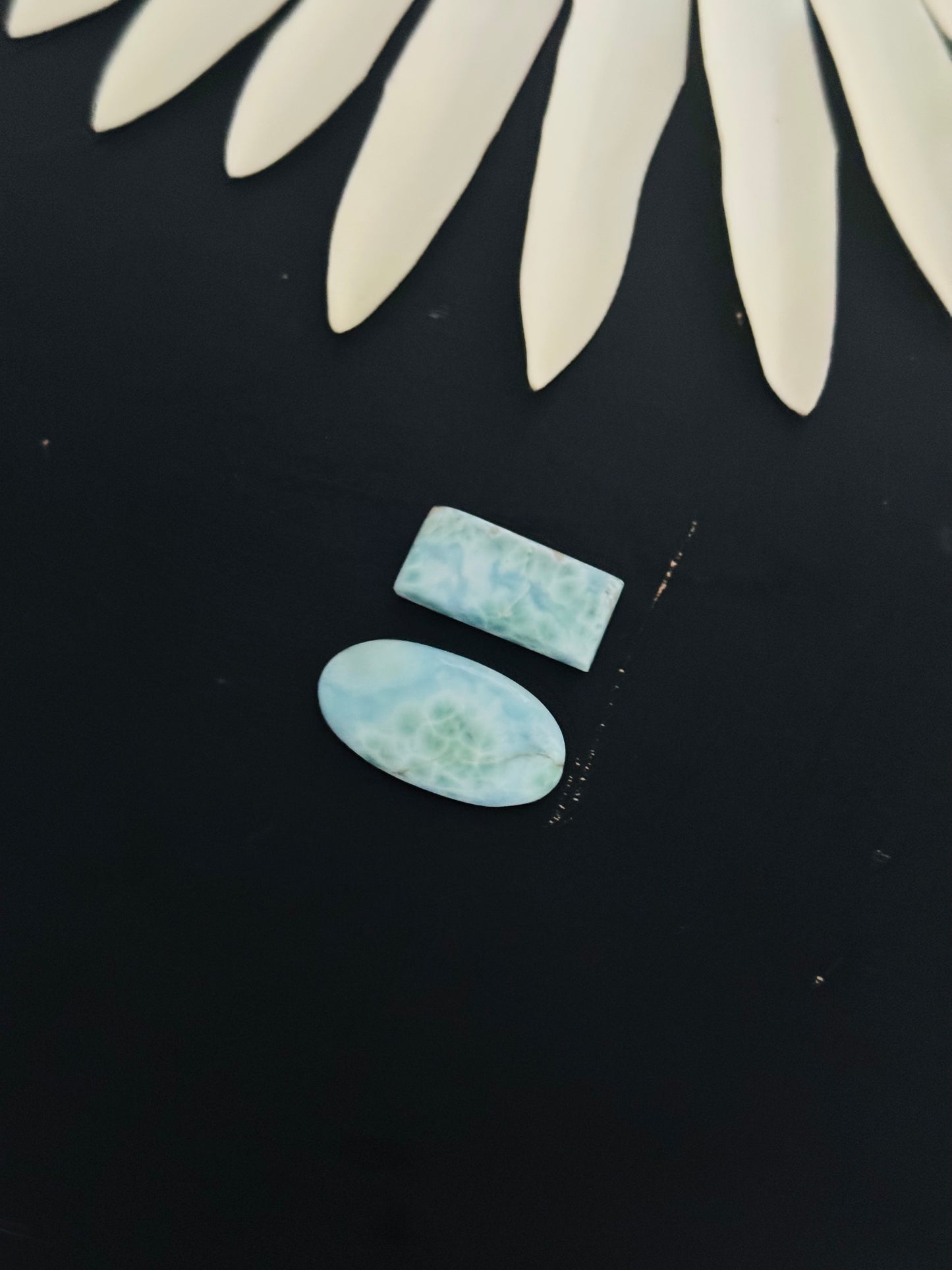 Larimar Cabs