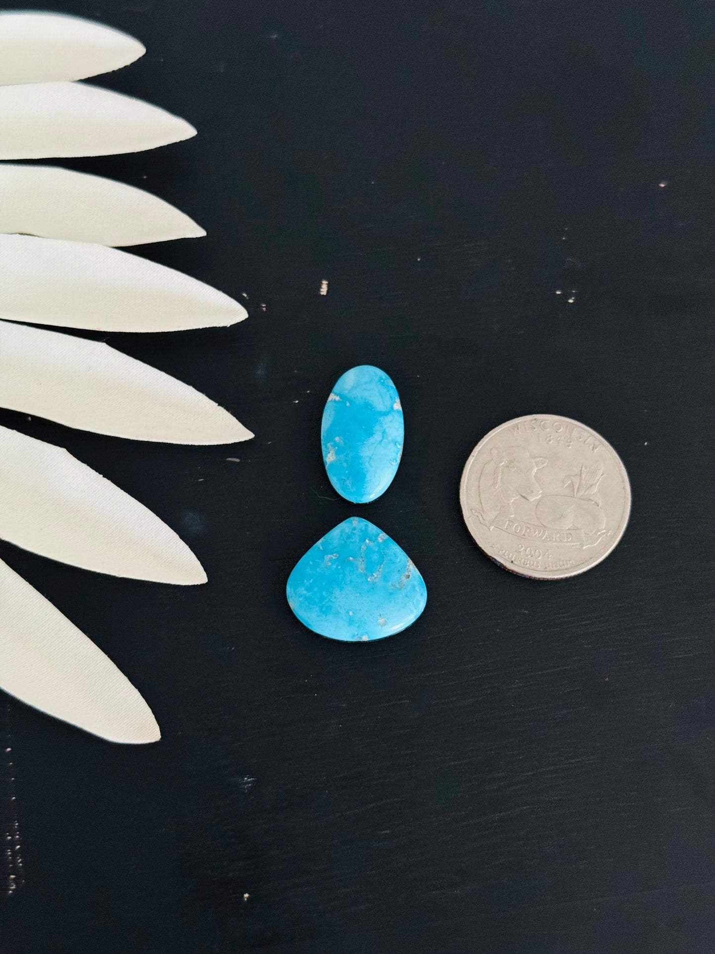Blue Bird Turquoise Cabs