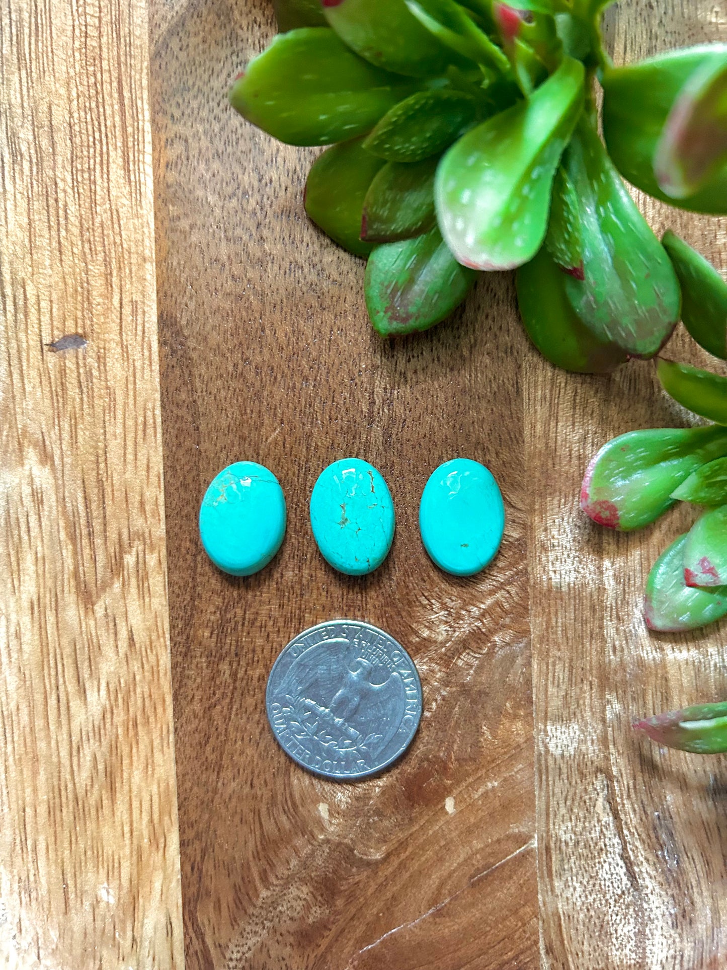 Kingman Turquoise Cabs