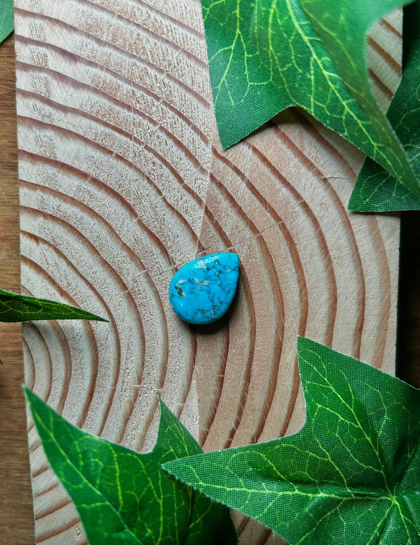 Blue Bird Turquoise Cabs