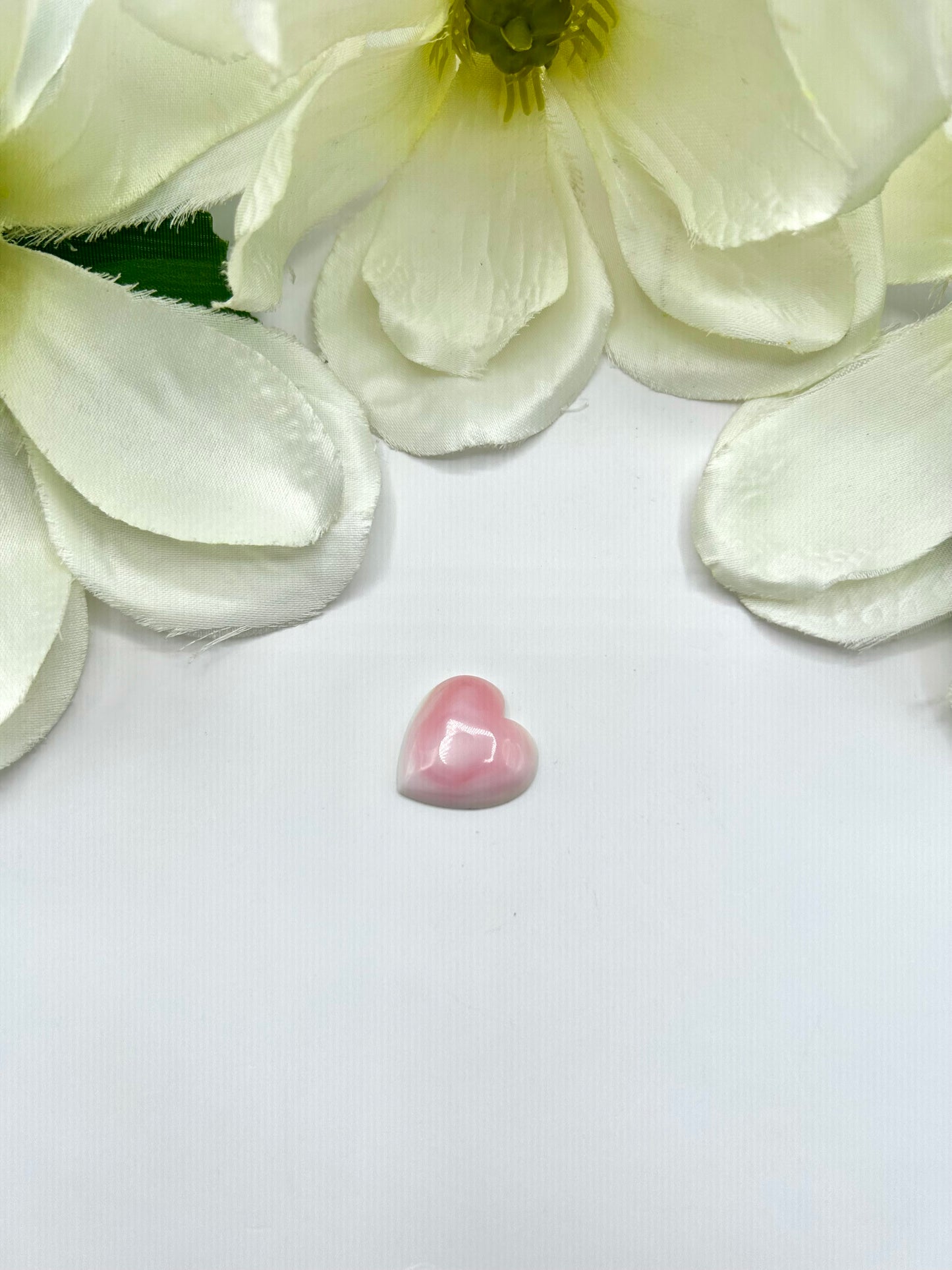 Pink Conch Cab