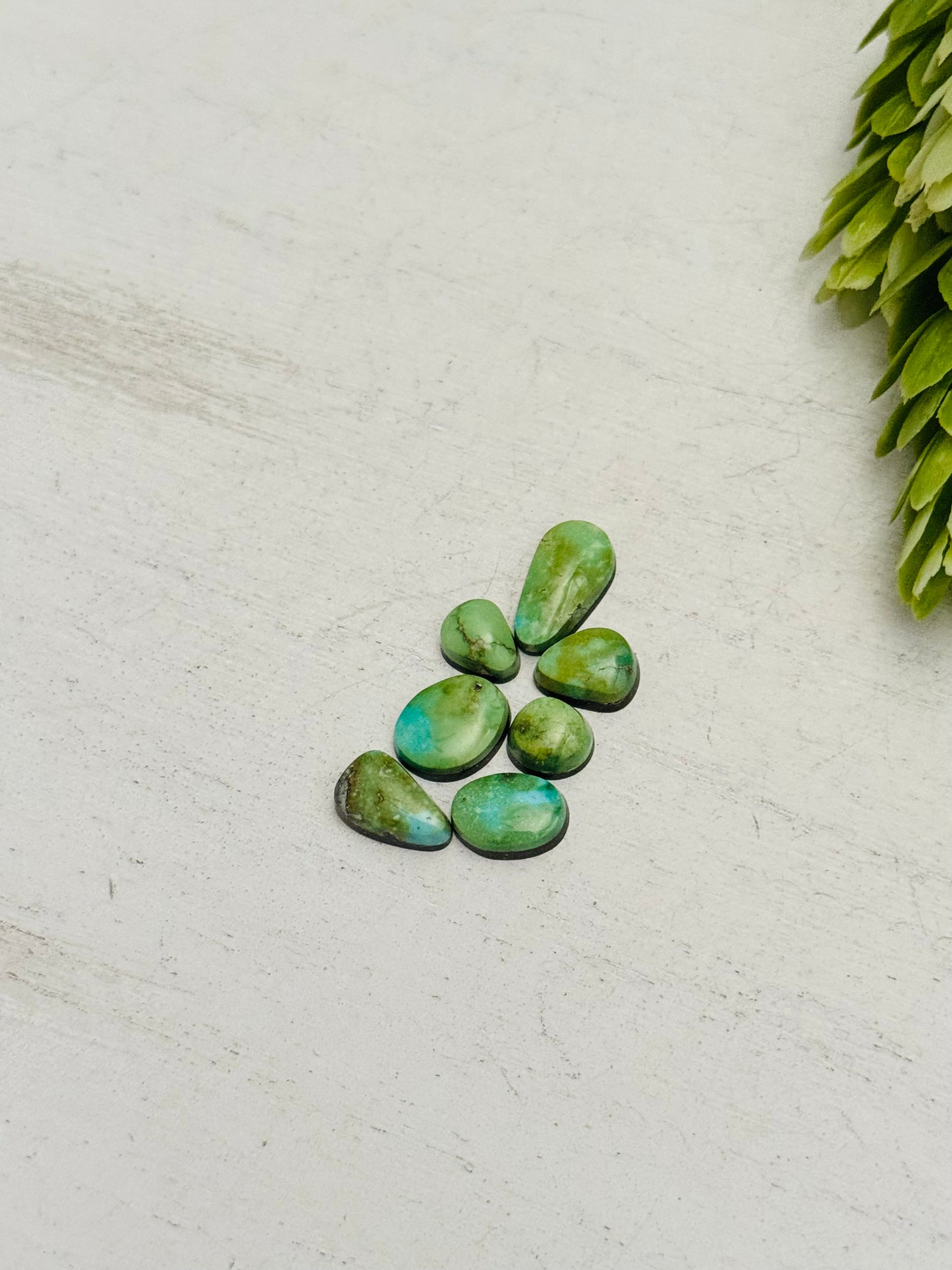 Natural Sonoran Gold Turquoise Cabs