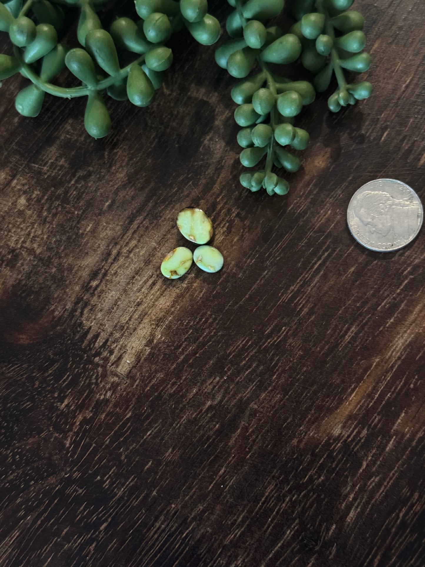 Palomino Variscite Cabs