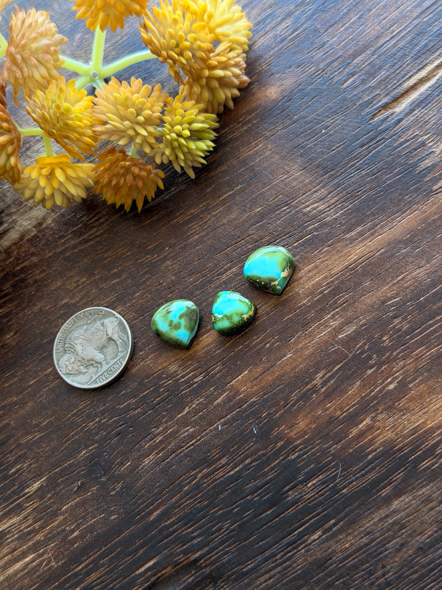 Sonoran Mountain Turquoise Cabs