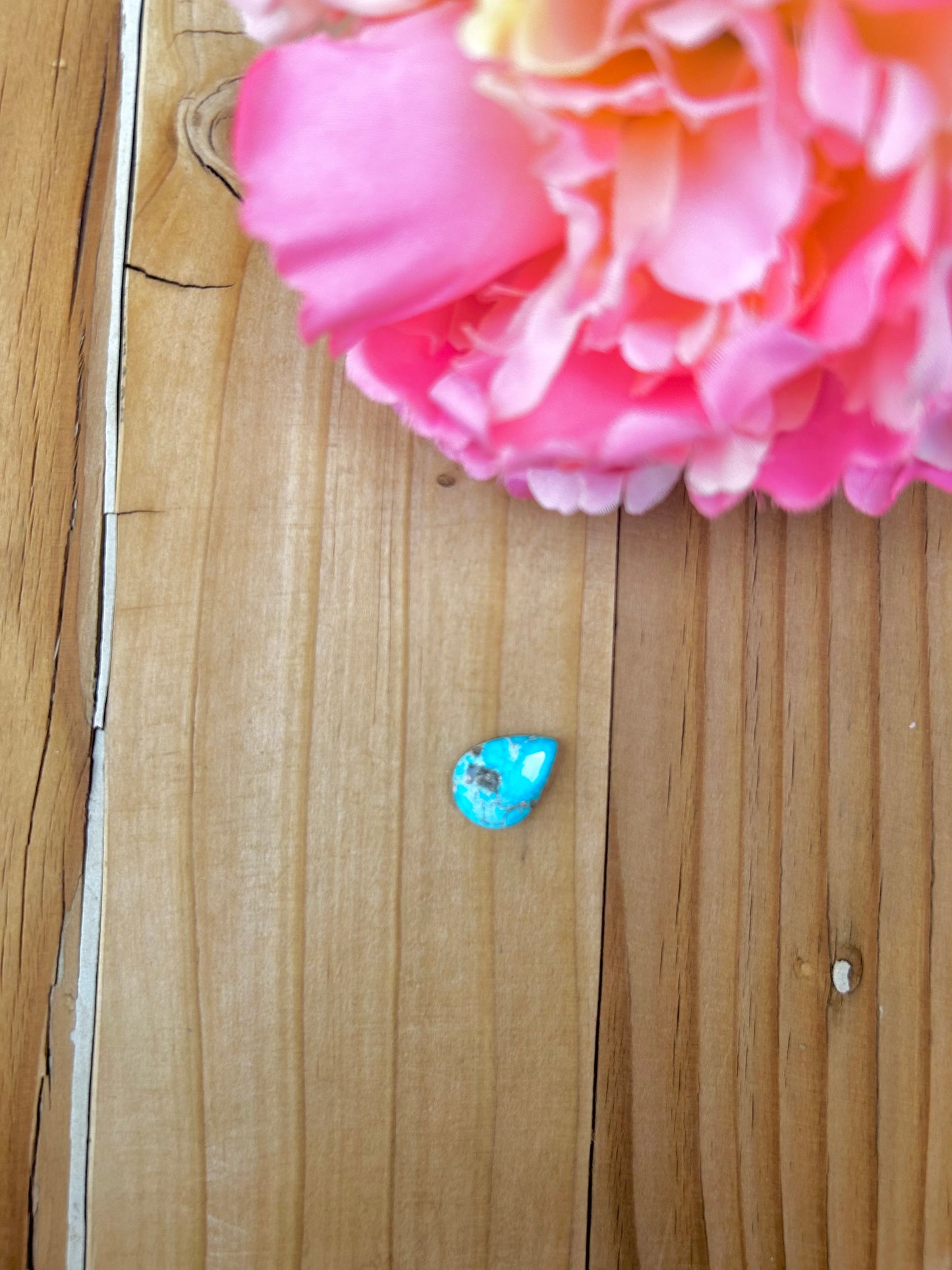 Blue Bird Turquoise Cabs