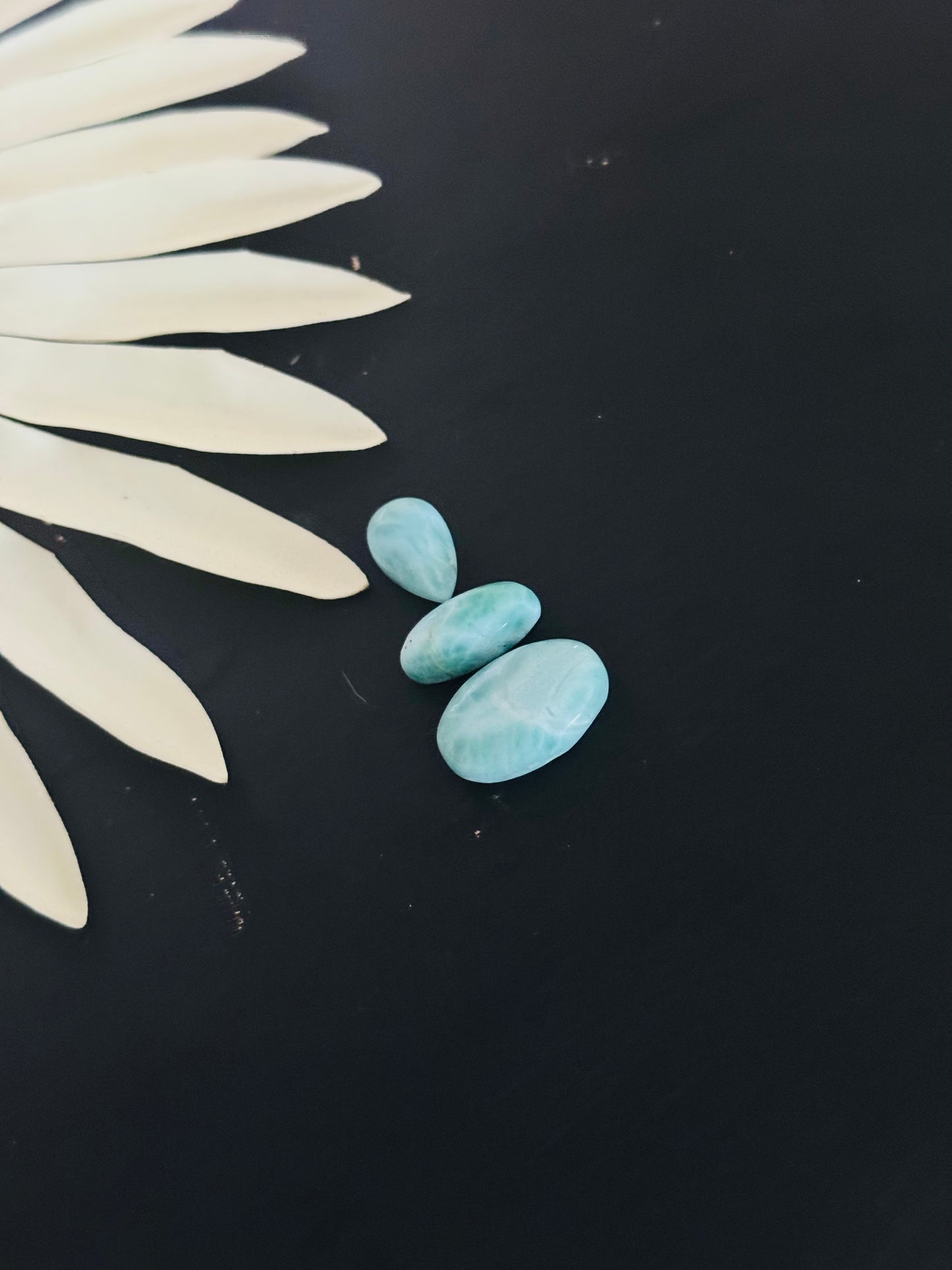 Larimar Cabs