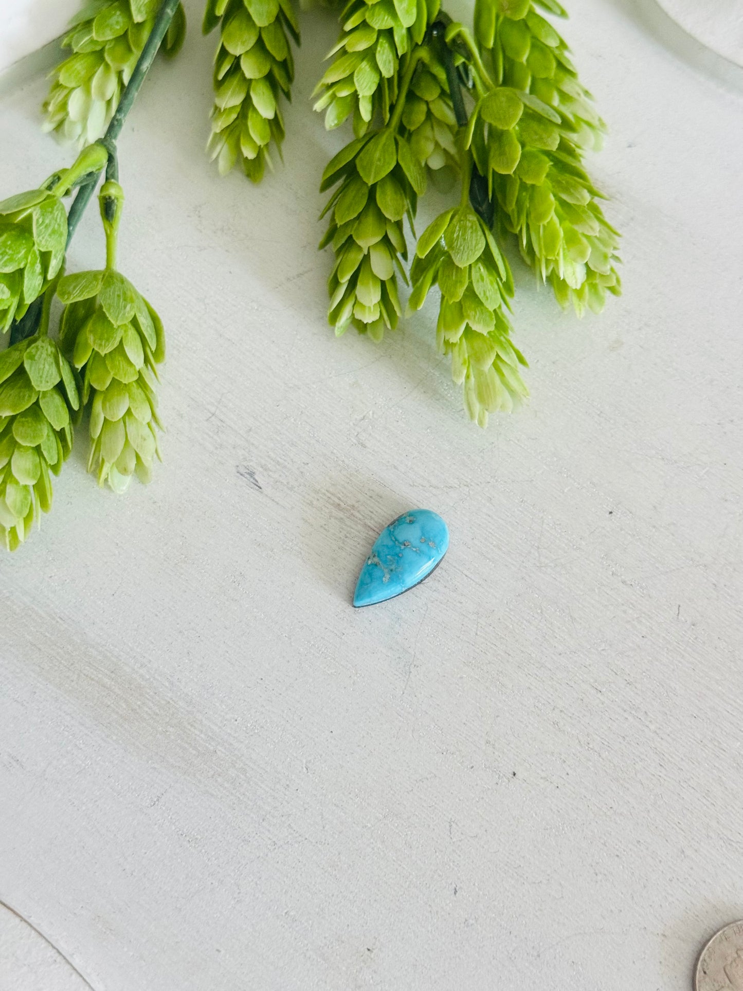 Blue Bird Turquoise Cab
