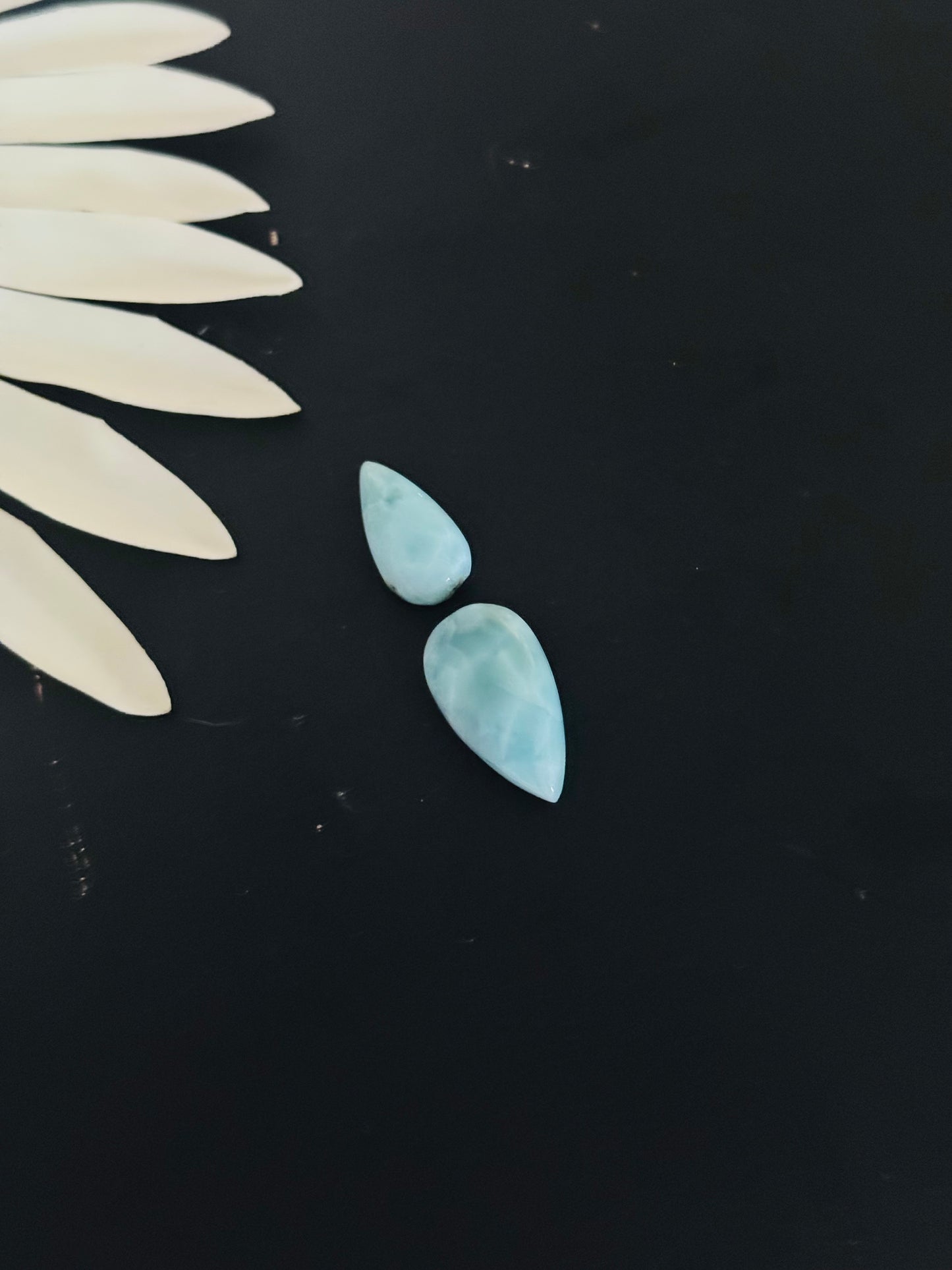 Larimar Cabs