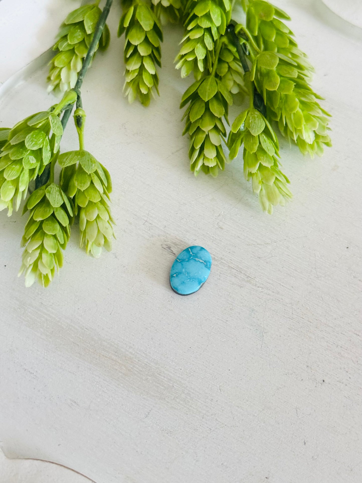 Blue Bird Turquoise Cab