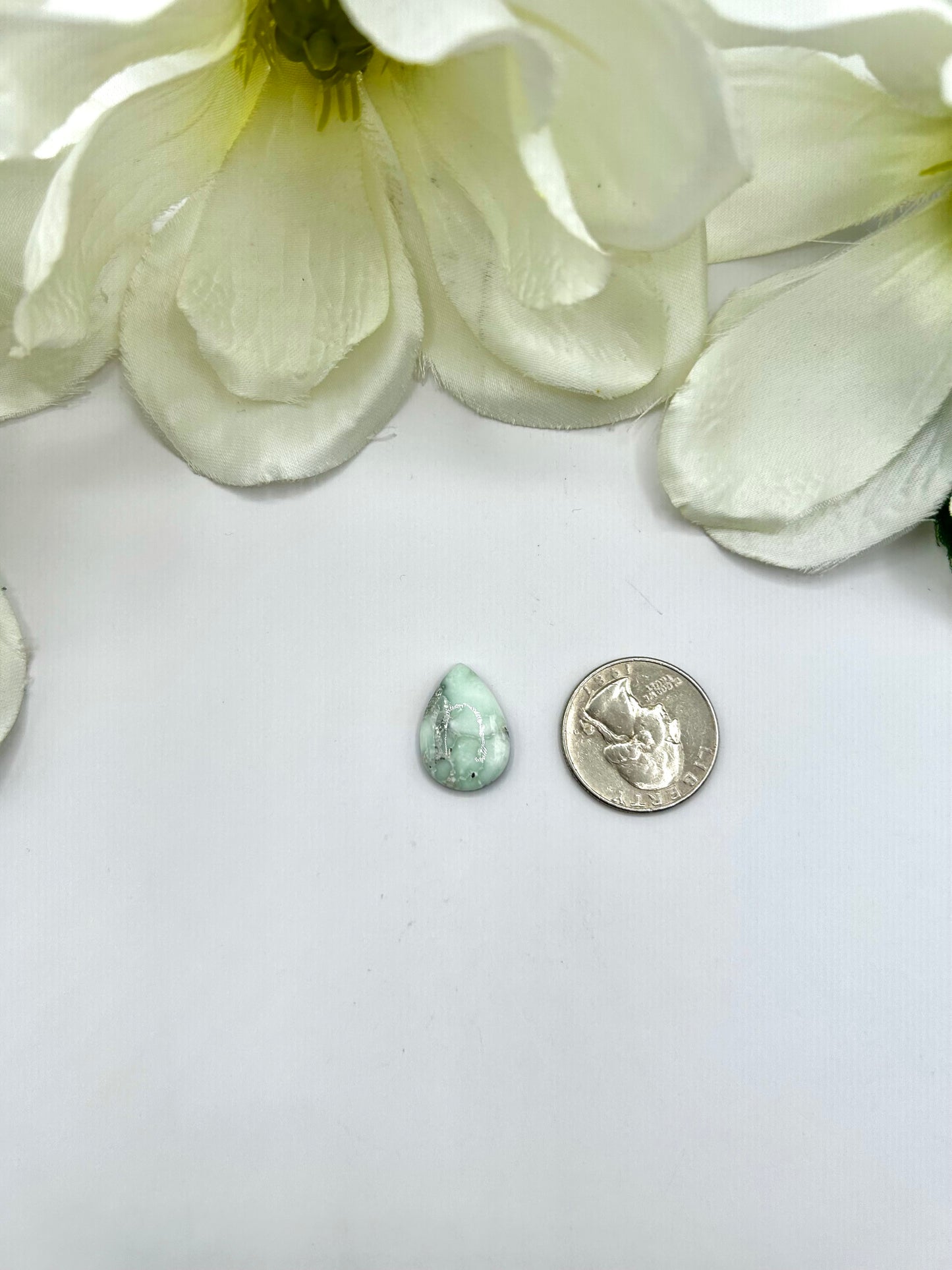 Paloma Variscite Cabs