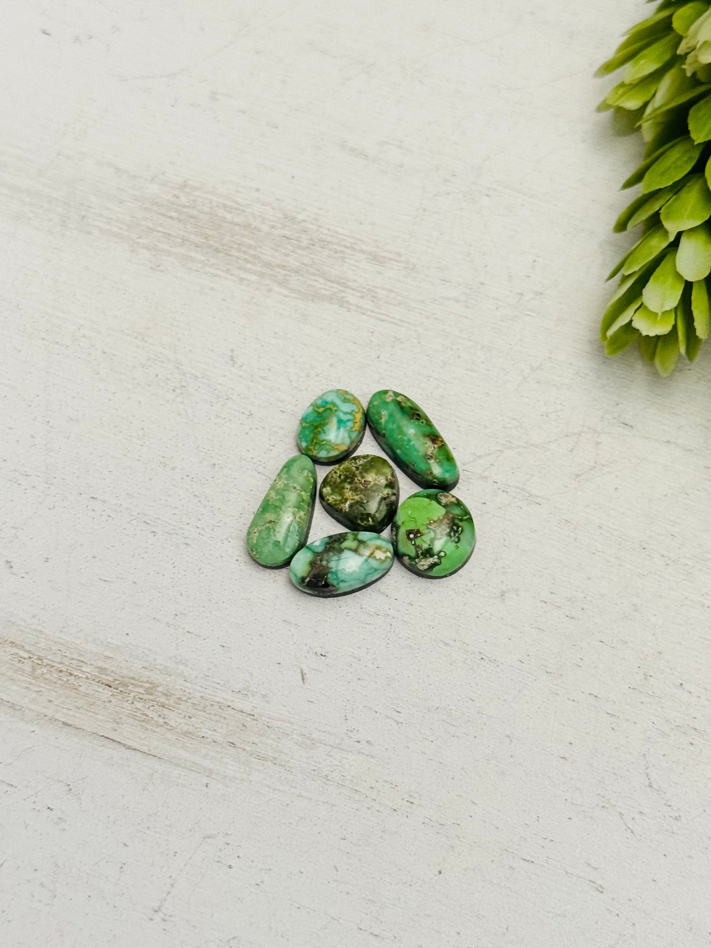 Natural Sonoran Gold Turquoise Cabs