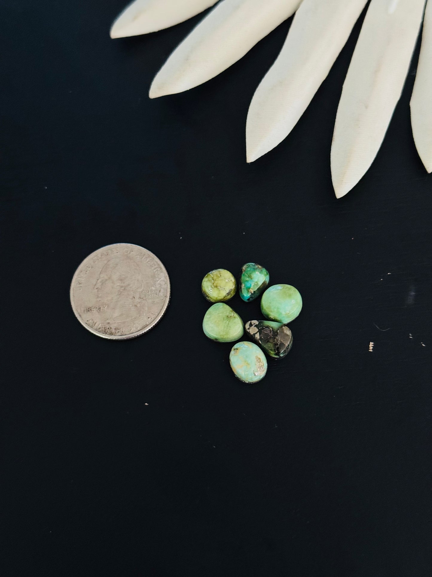 Natural Sonoran Gold Turquoise Cabs