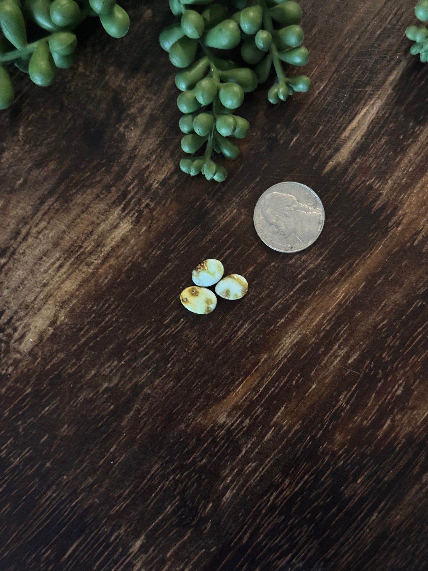 Palomino Variscite Cabs