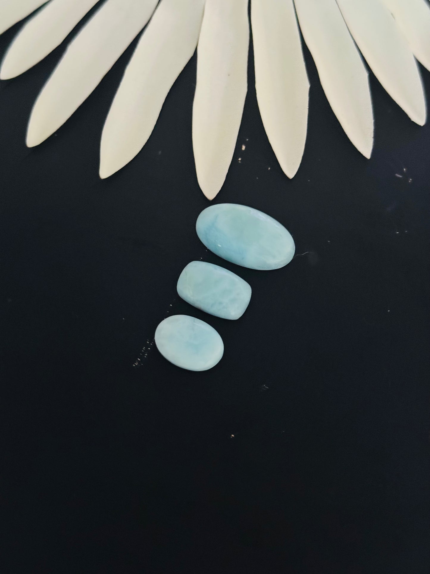 Larimar Cabs