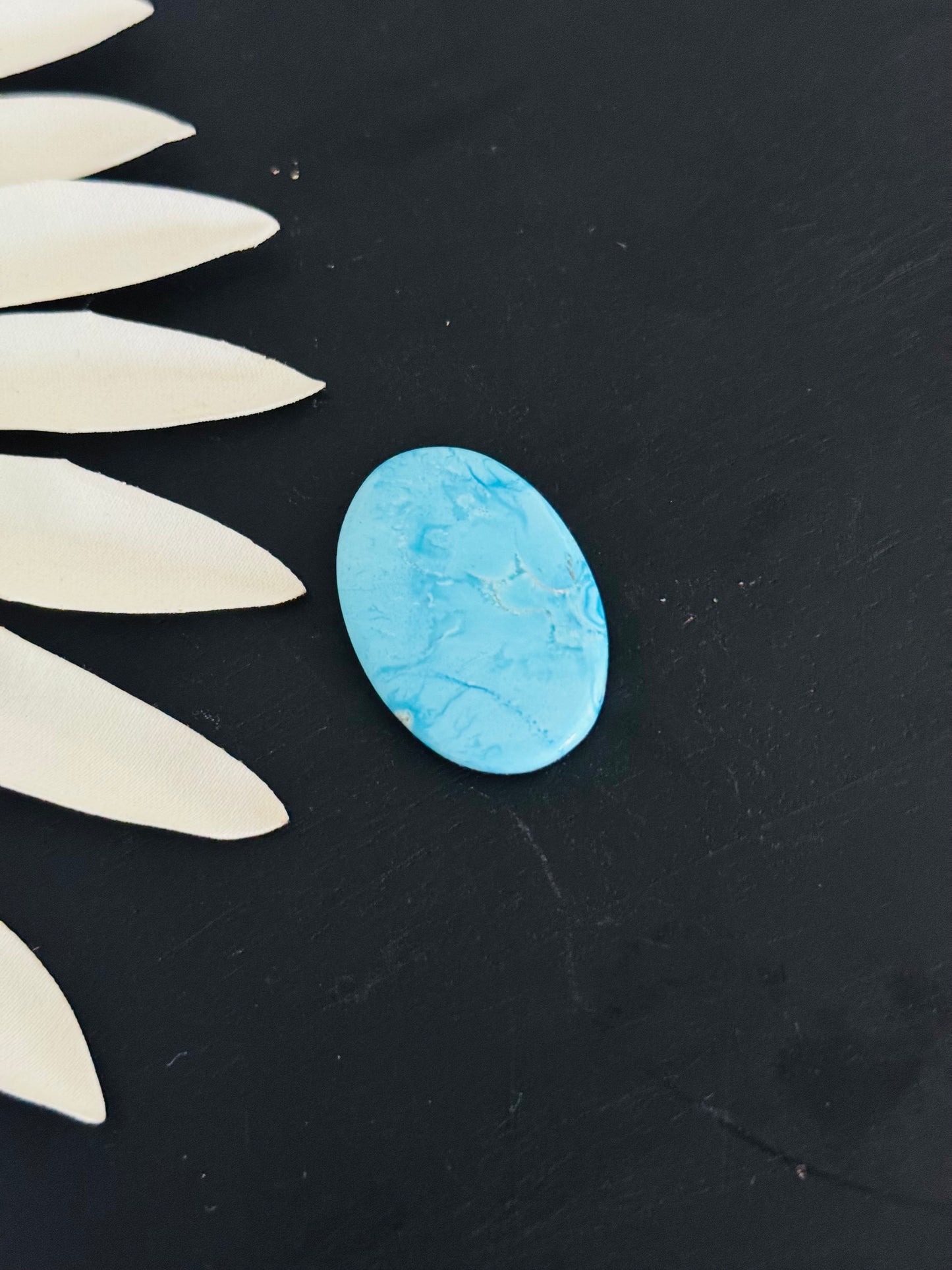 Blue Bird Turquoise Cabs