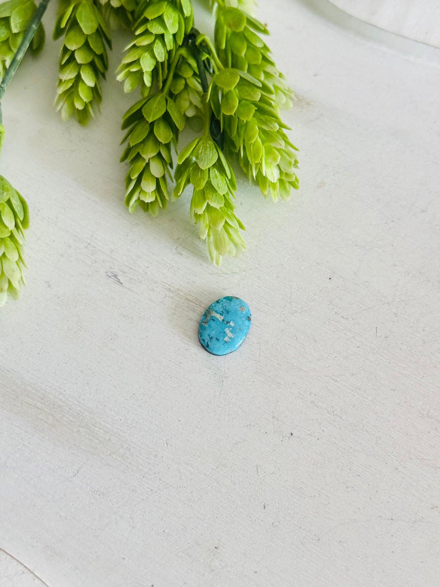 Blue Bird Turquoise Cab