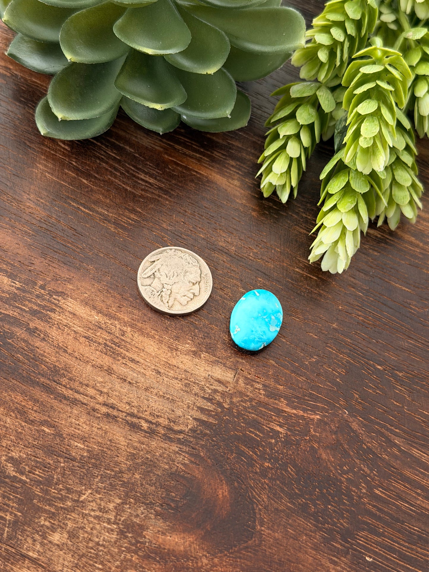 Blue Bird Turquoise Cab