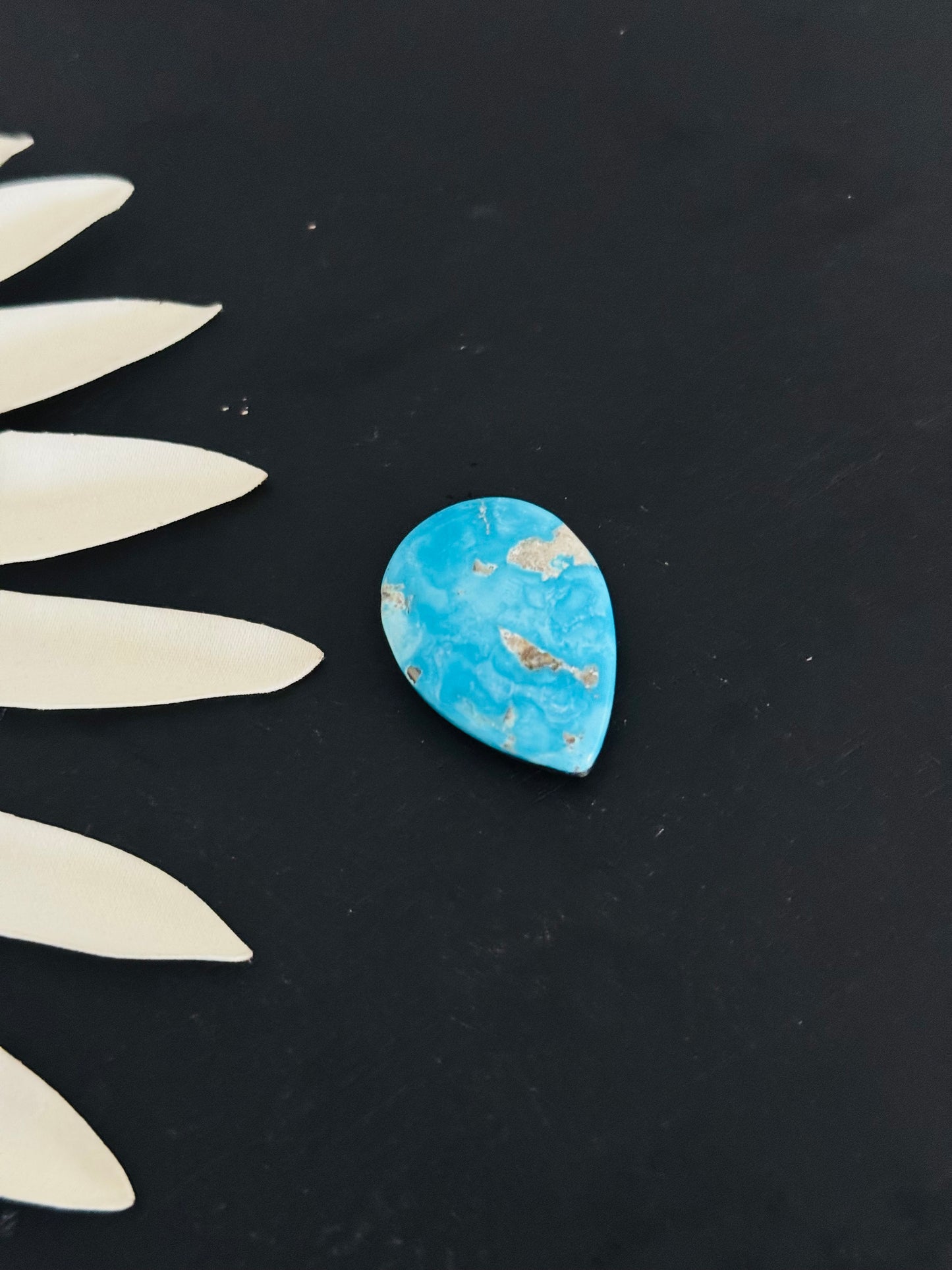 Blue Bird Turquoise Cabs